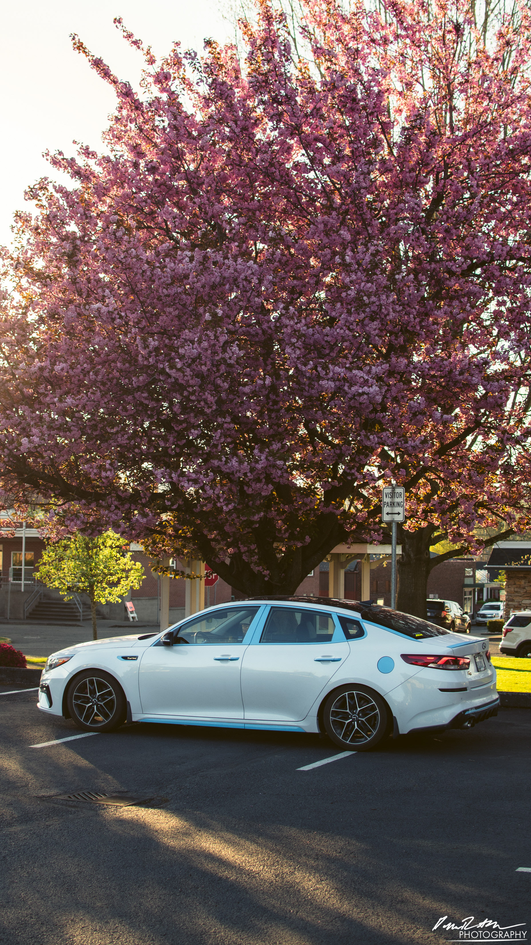 Blossom, Enumclaw WA