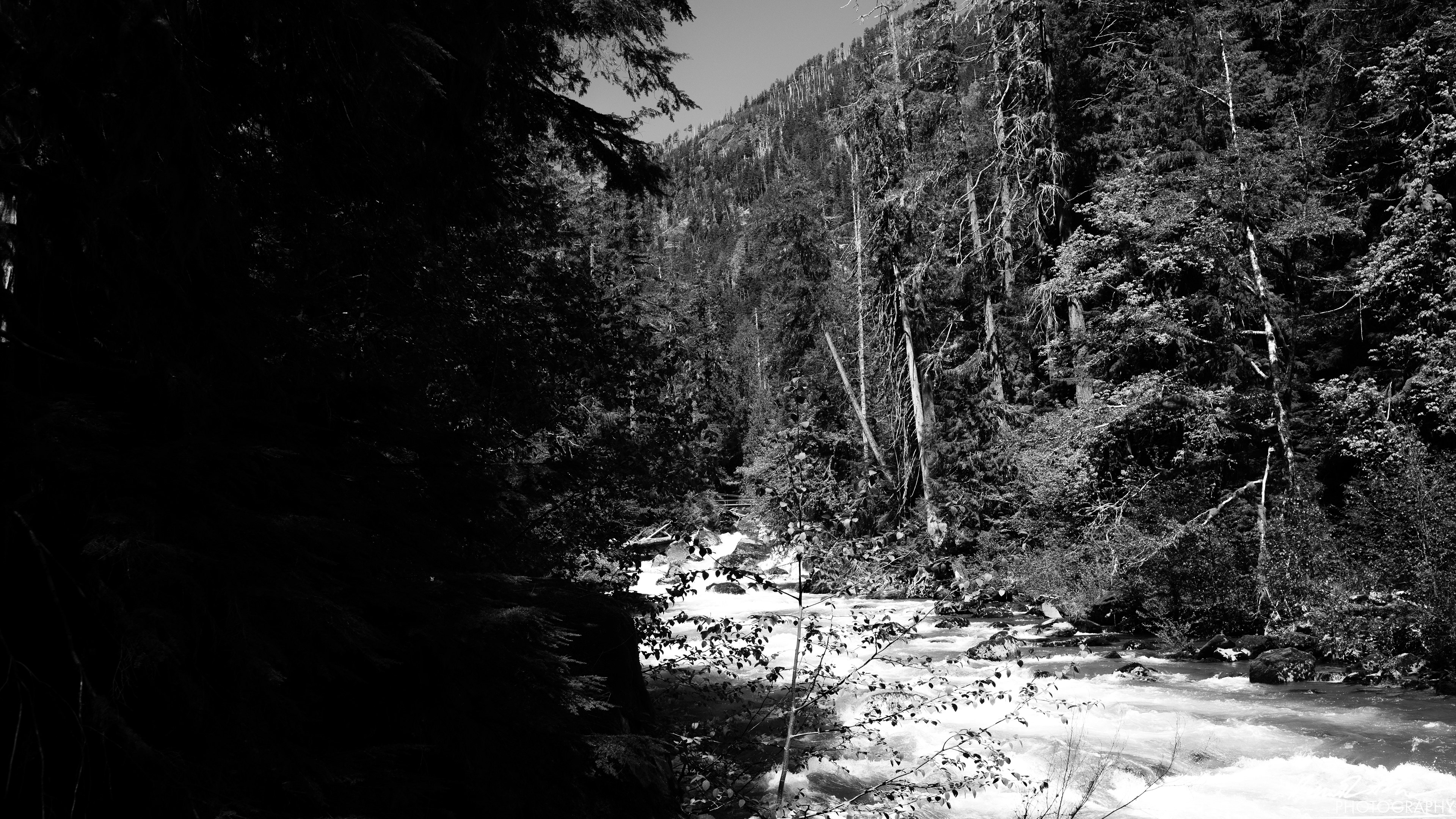 Rapids - Lake Cushman