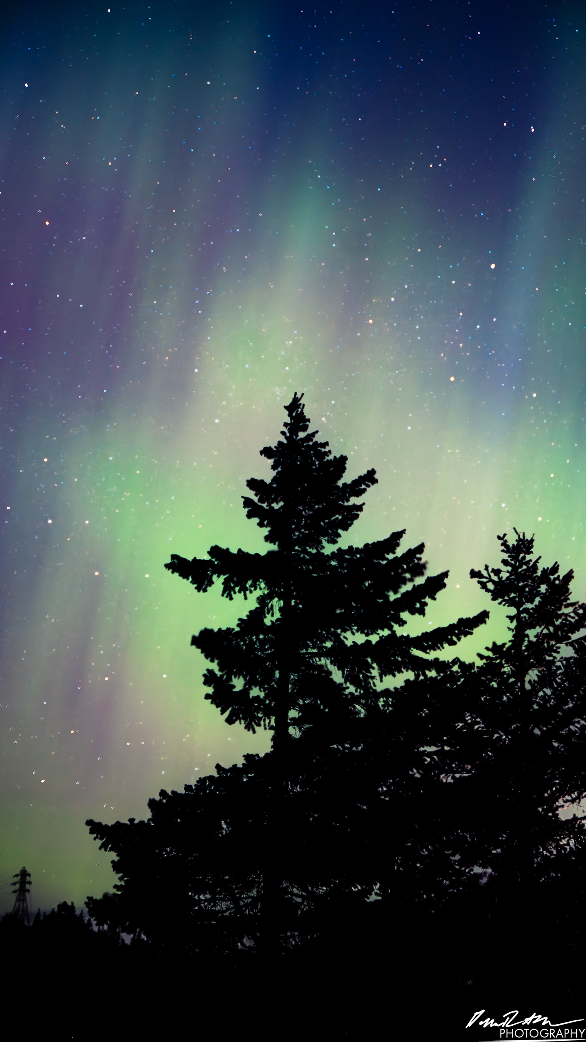 Aurora Borealis - Diablo Lake WA