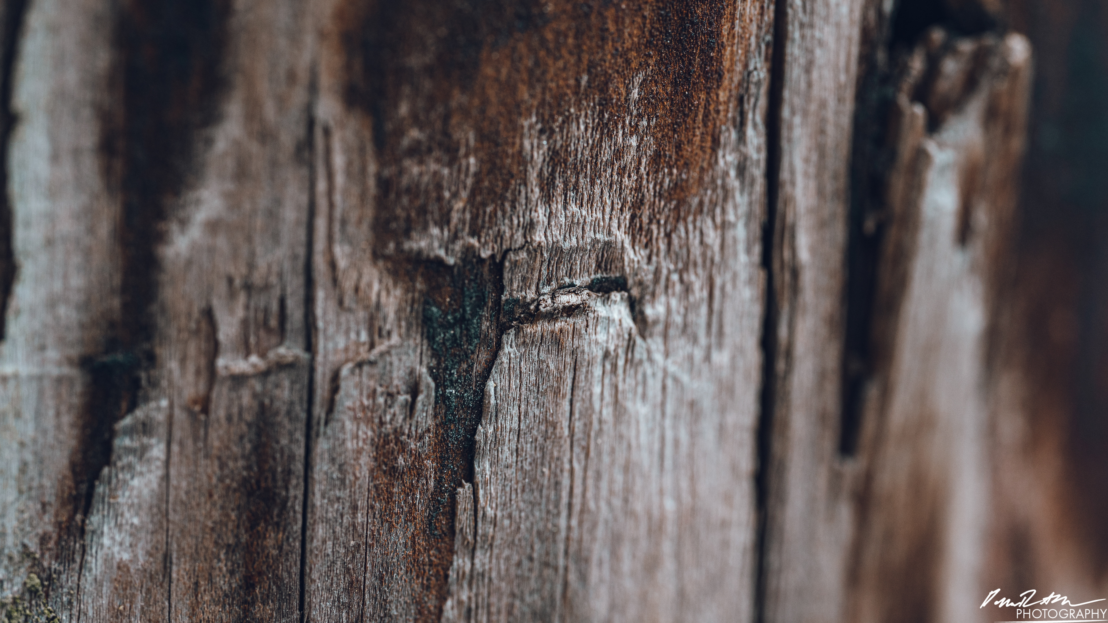 Up Close - Enumclaw WA