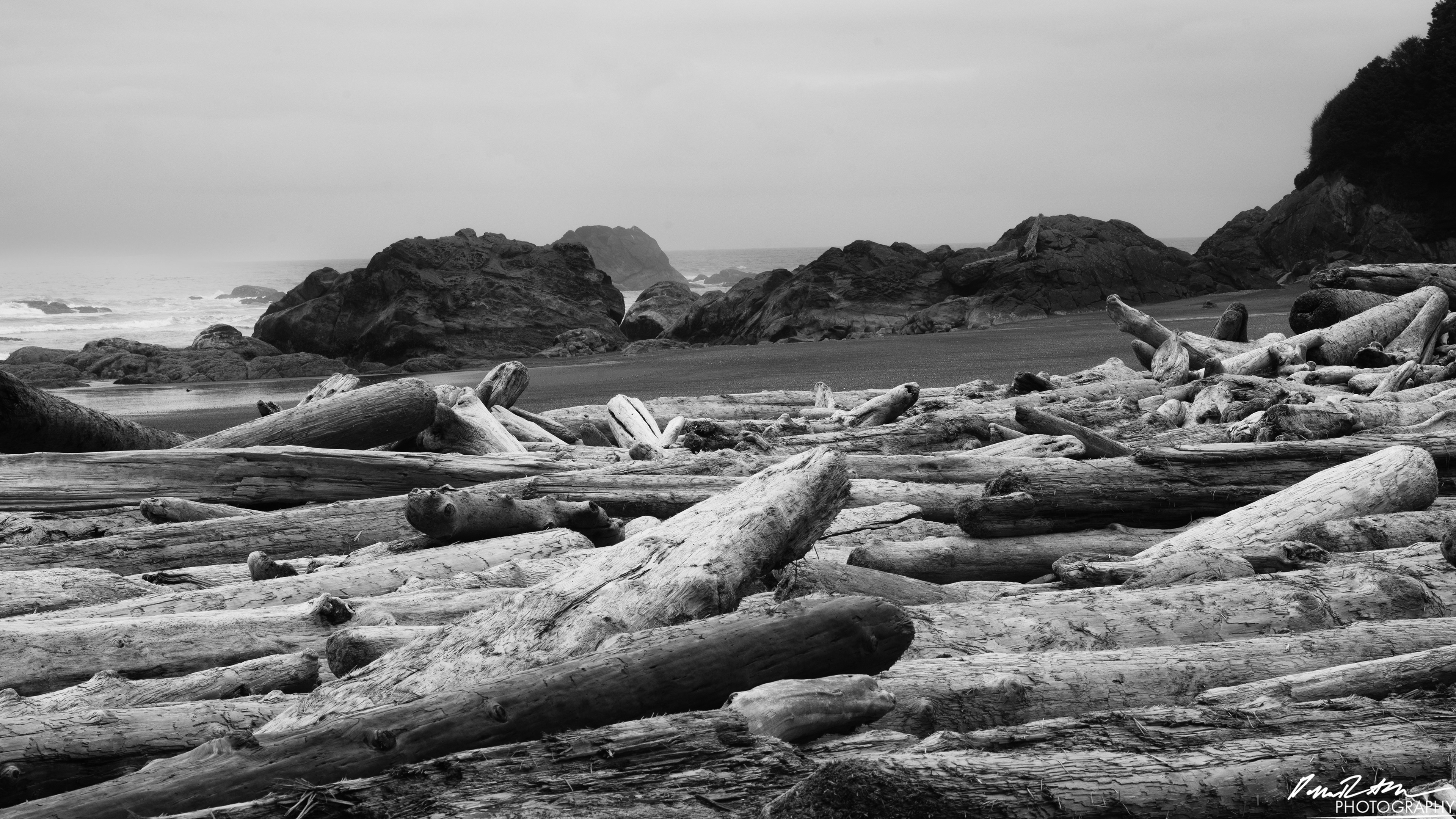 The Beach of Life - Kalaloch 