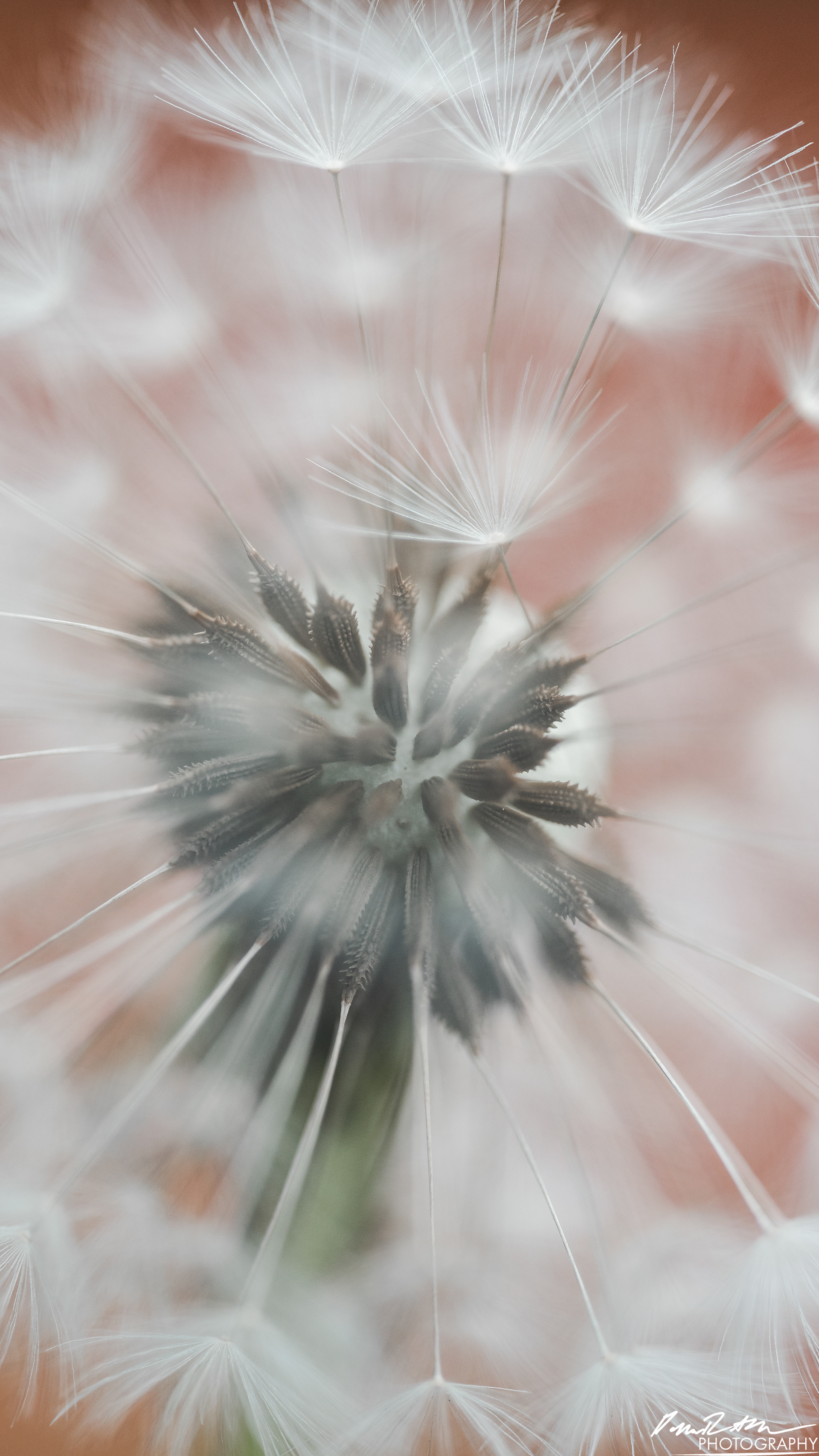 Up Close - Enumclaw WA