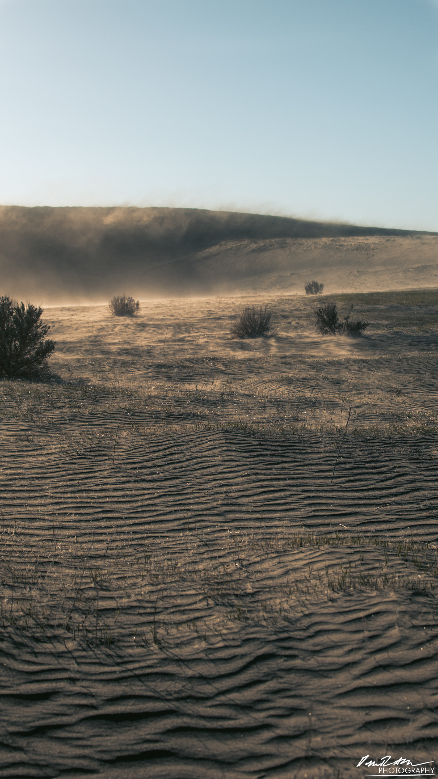Like Grains of Sand, Hanford Reach