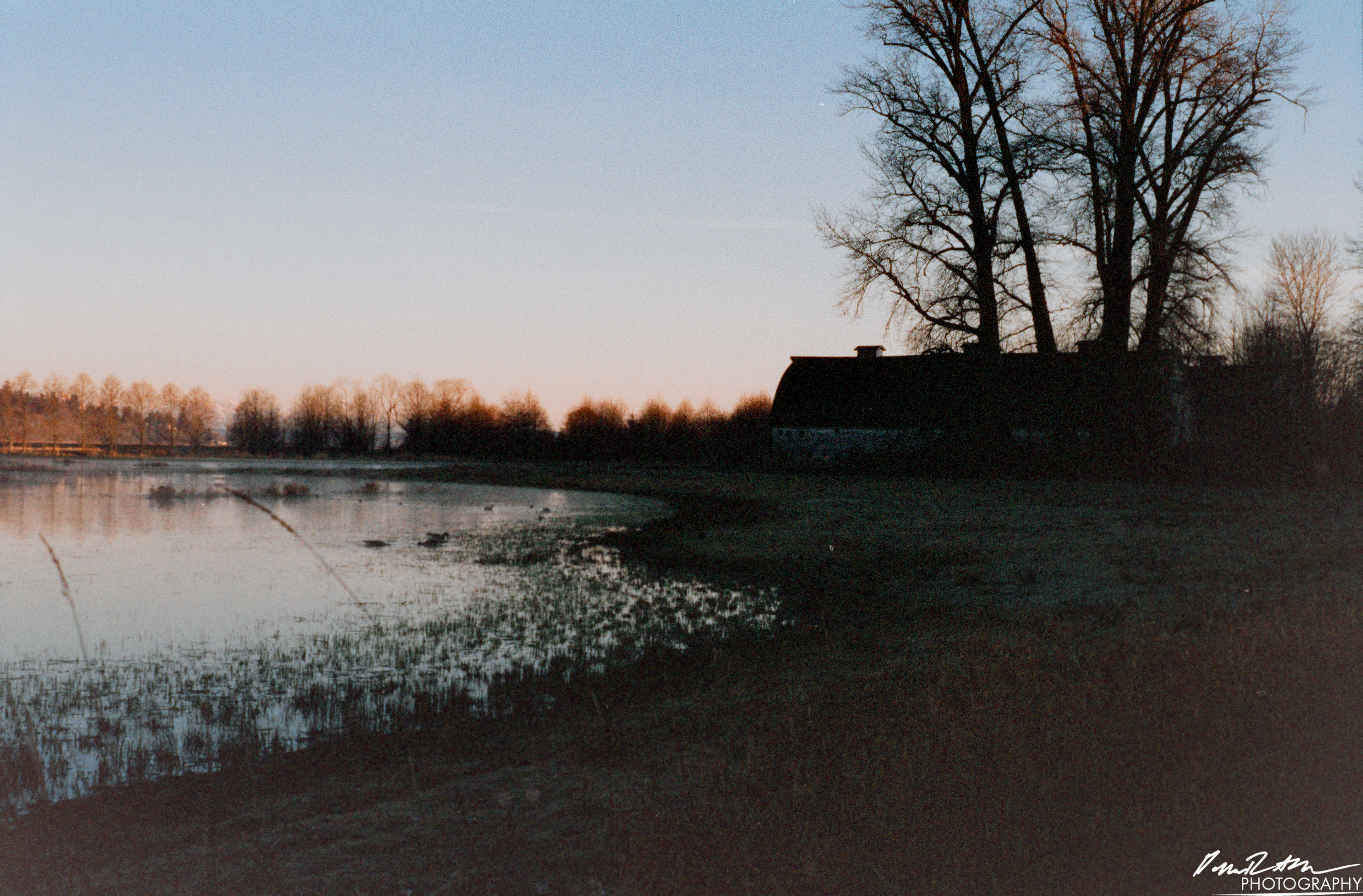 Pheonix 200 - Nisqually Wildlife Preserve WA