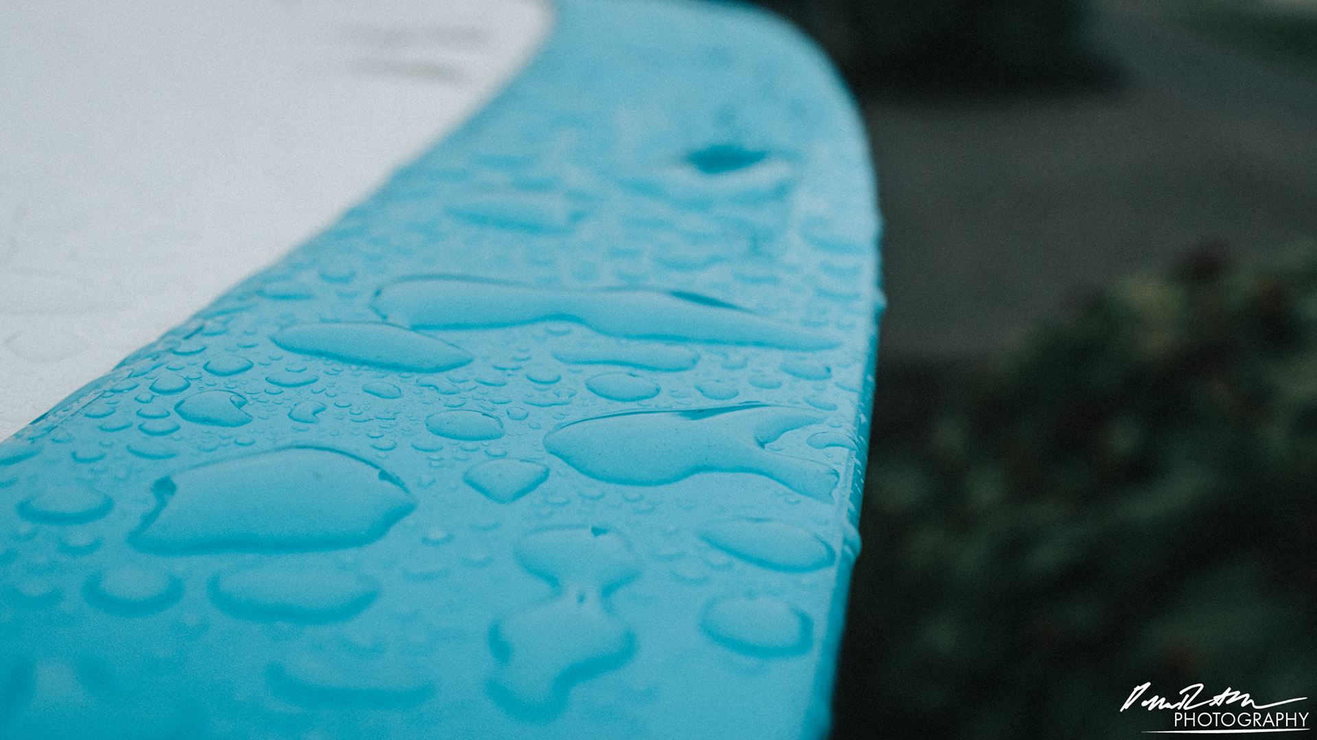 Spoiler, Enumclaw WA