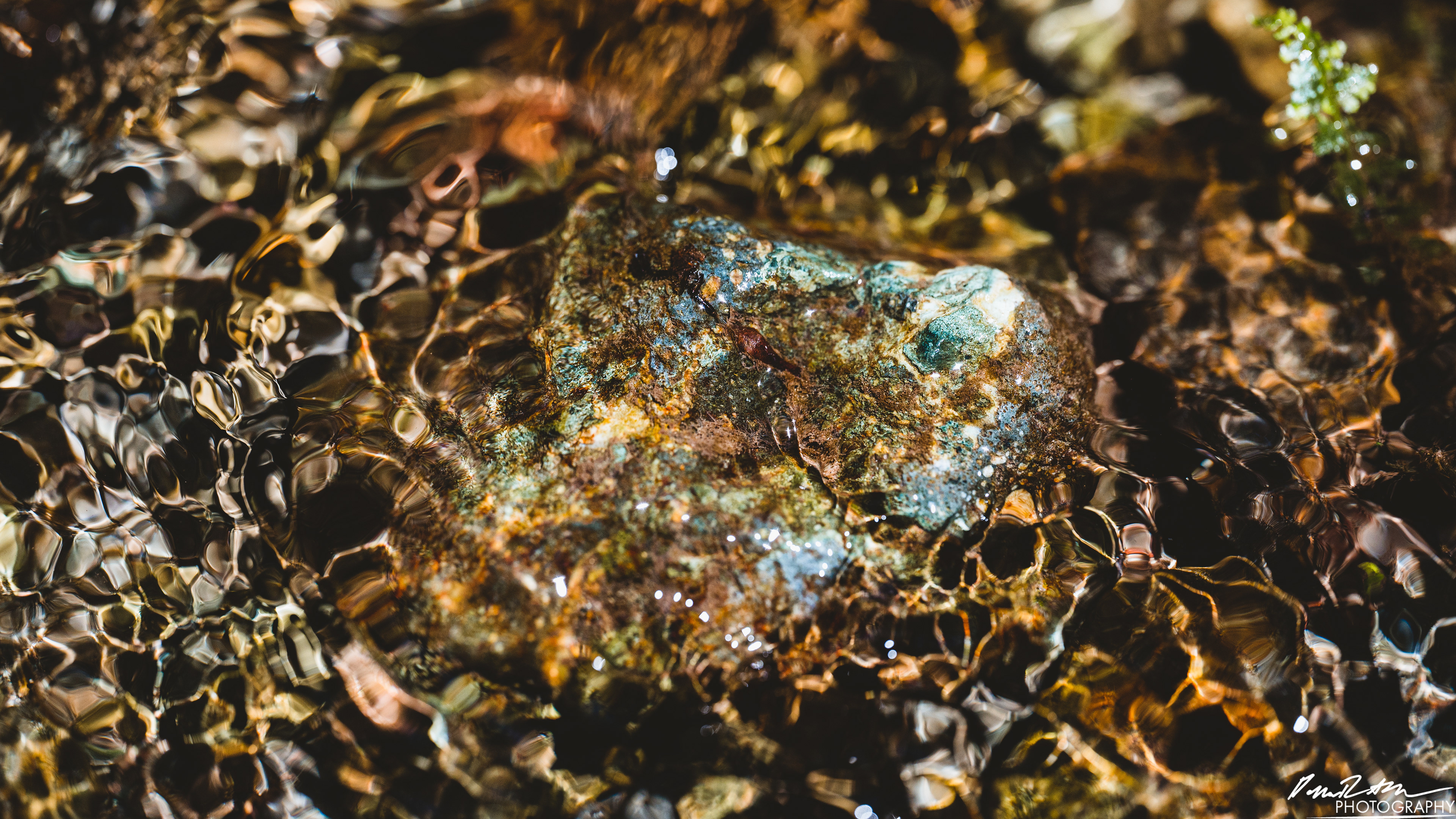 Rapids - Lake Cushman