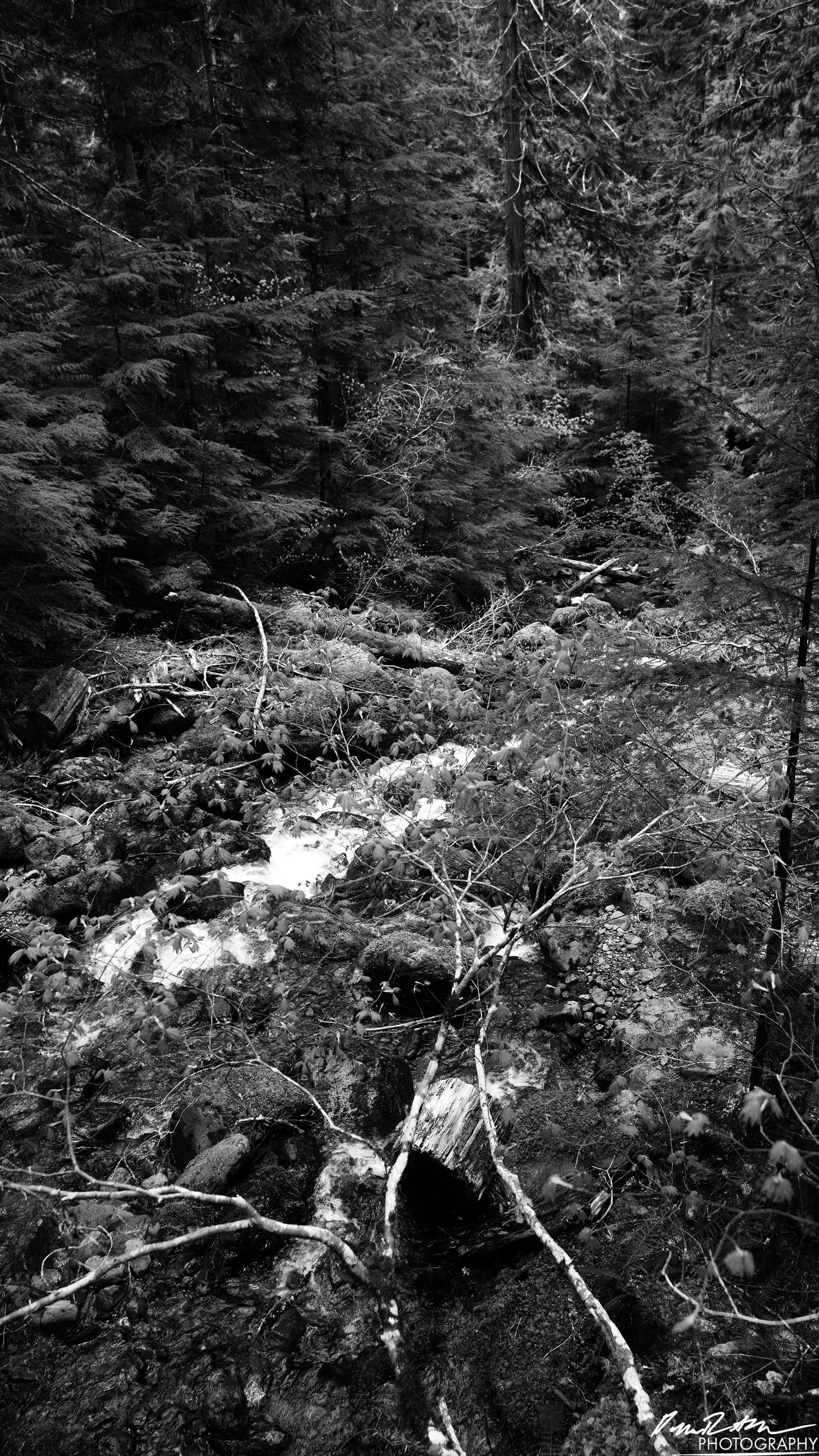 Snow Melt - Lena Lake
