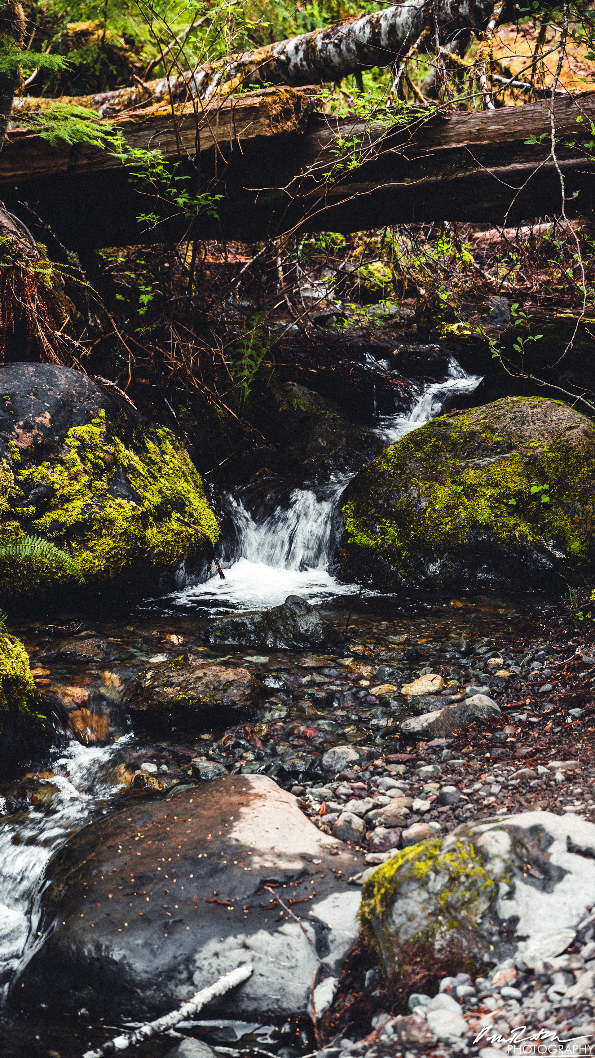 Snow Melt - Lena Lake