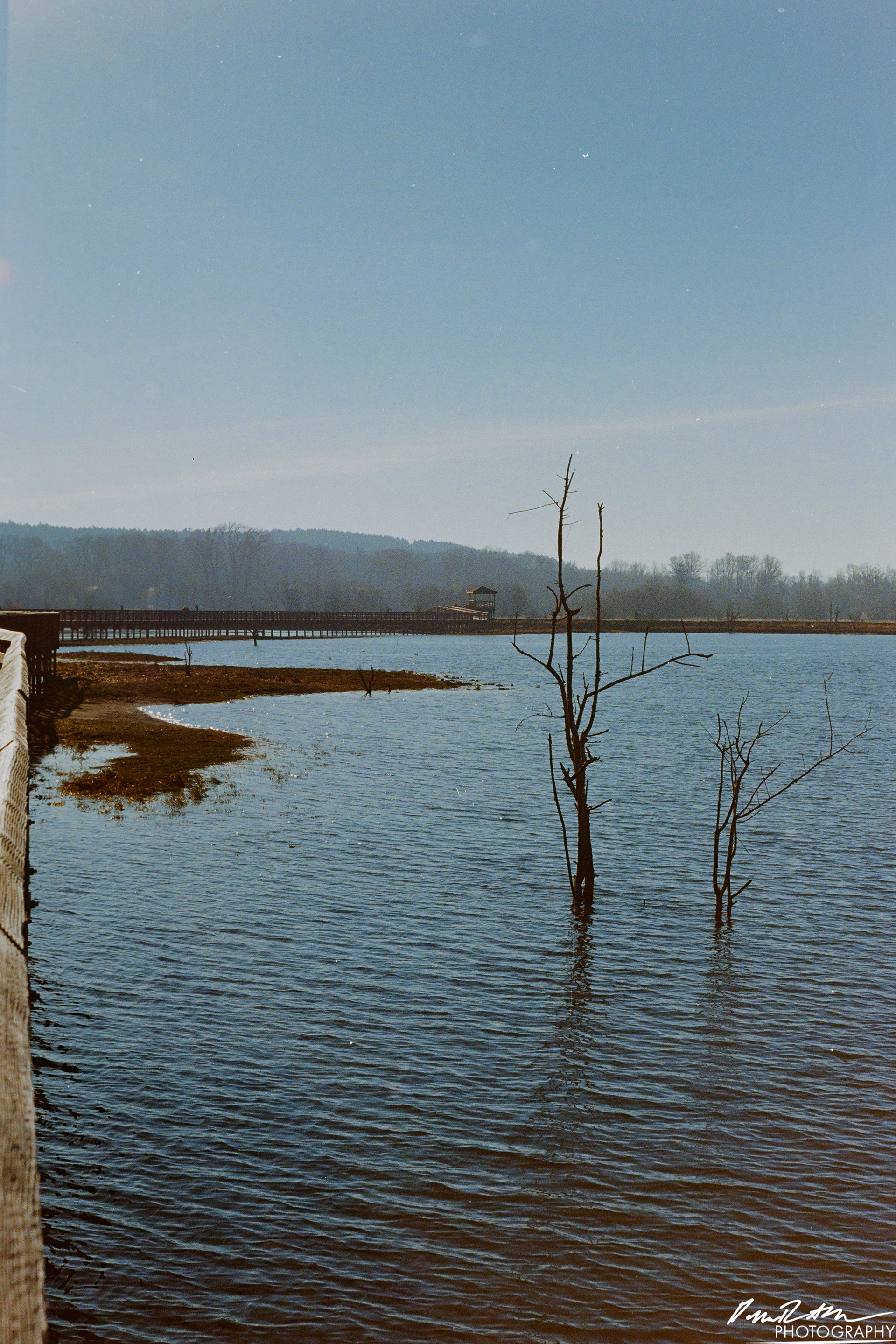 Fujifilm 400 - Nisqually Wildlife Preserve WA