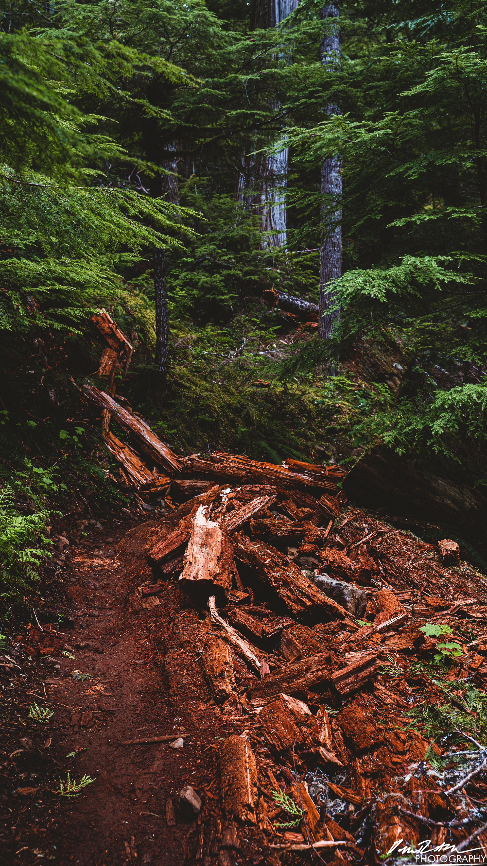 Snow Melt - Lena Lake