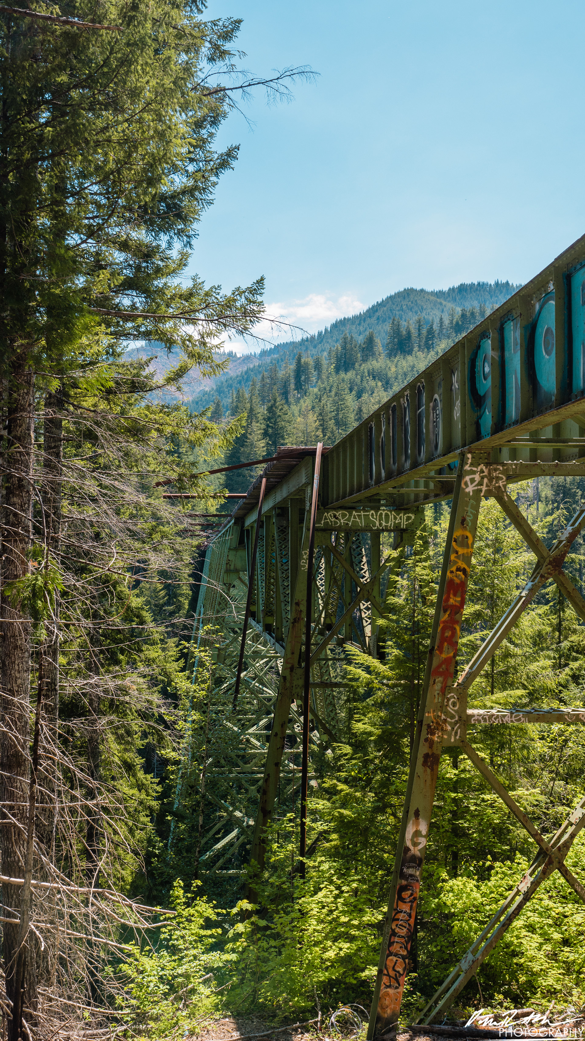 CAUTION - Olympic National Forest