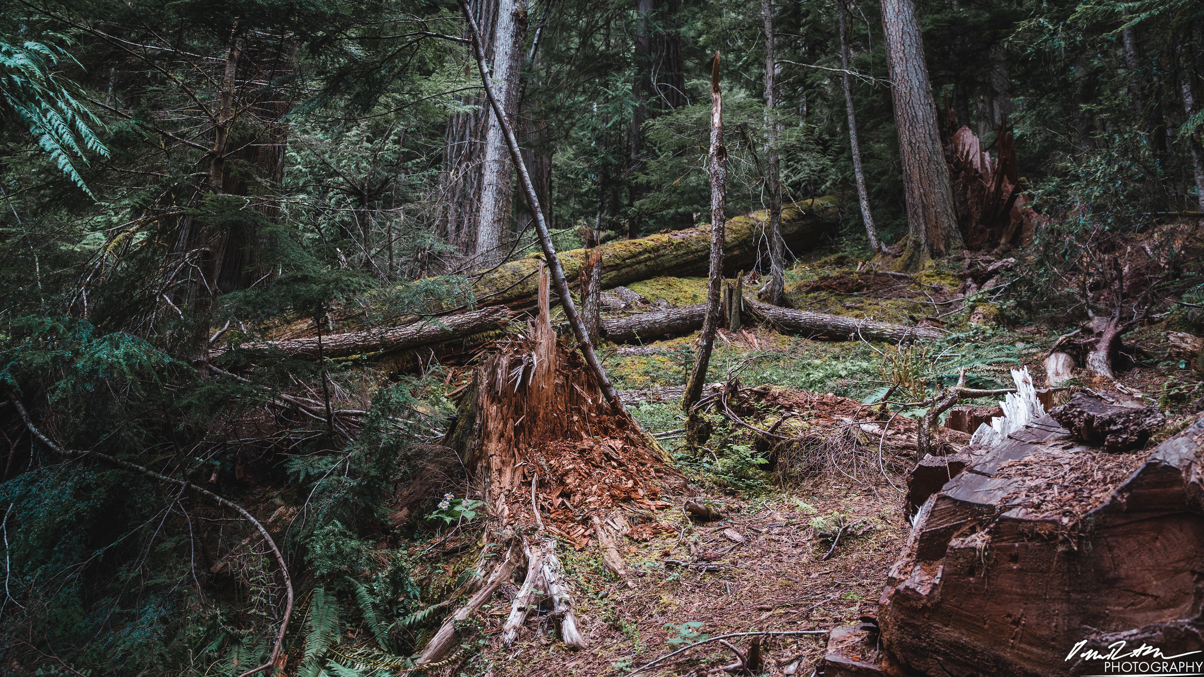 Snow Melt - Lena Lake
