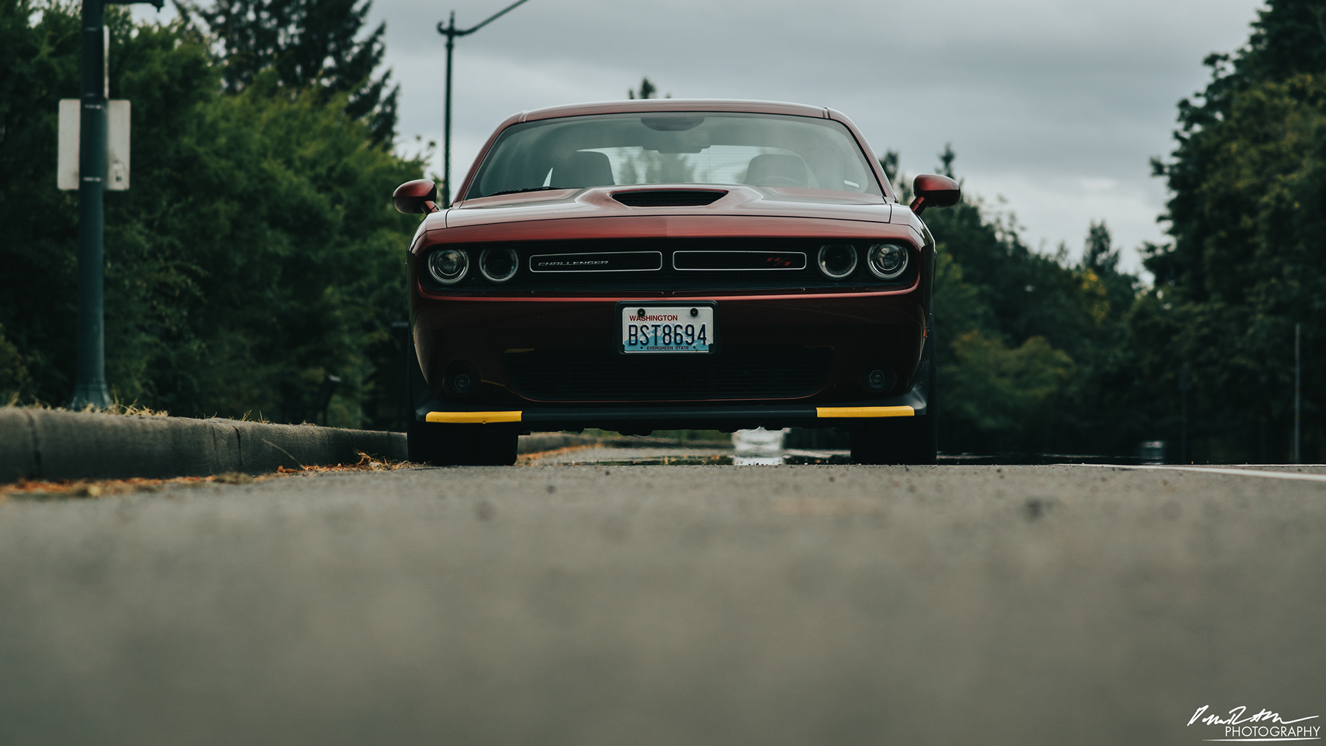 Green - Olympia WA