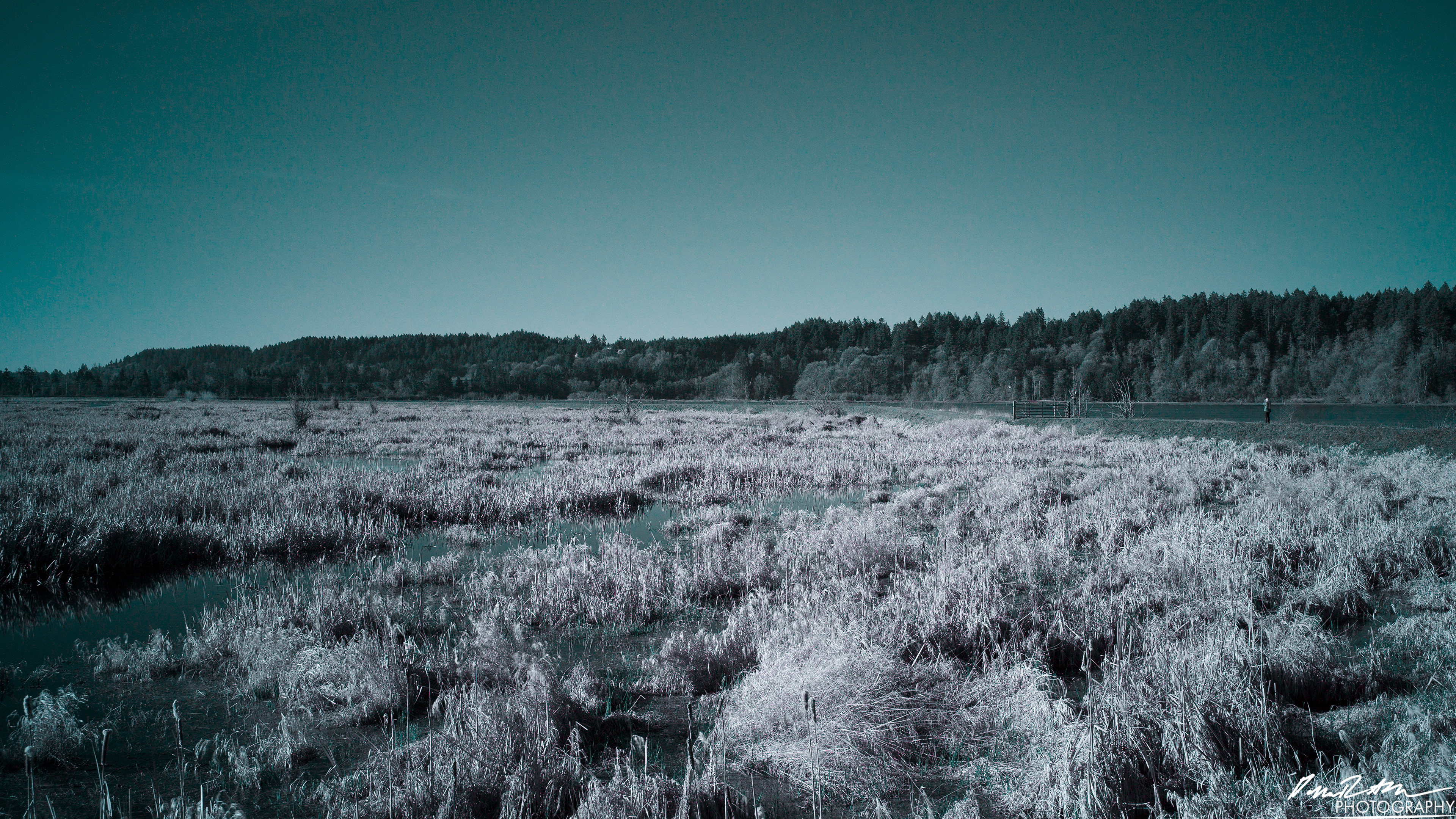 Infared - Nisqually WA