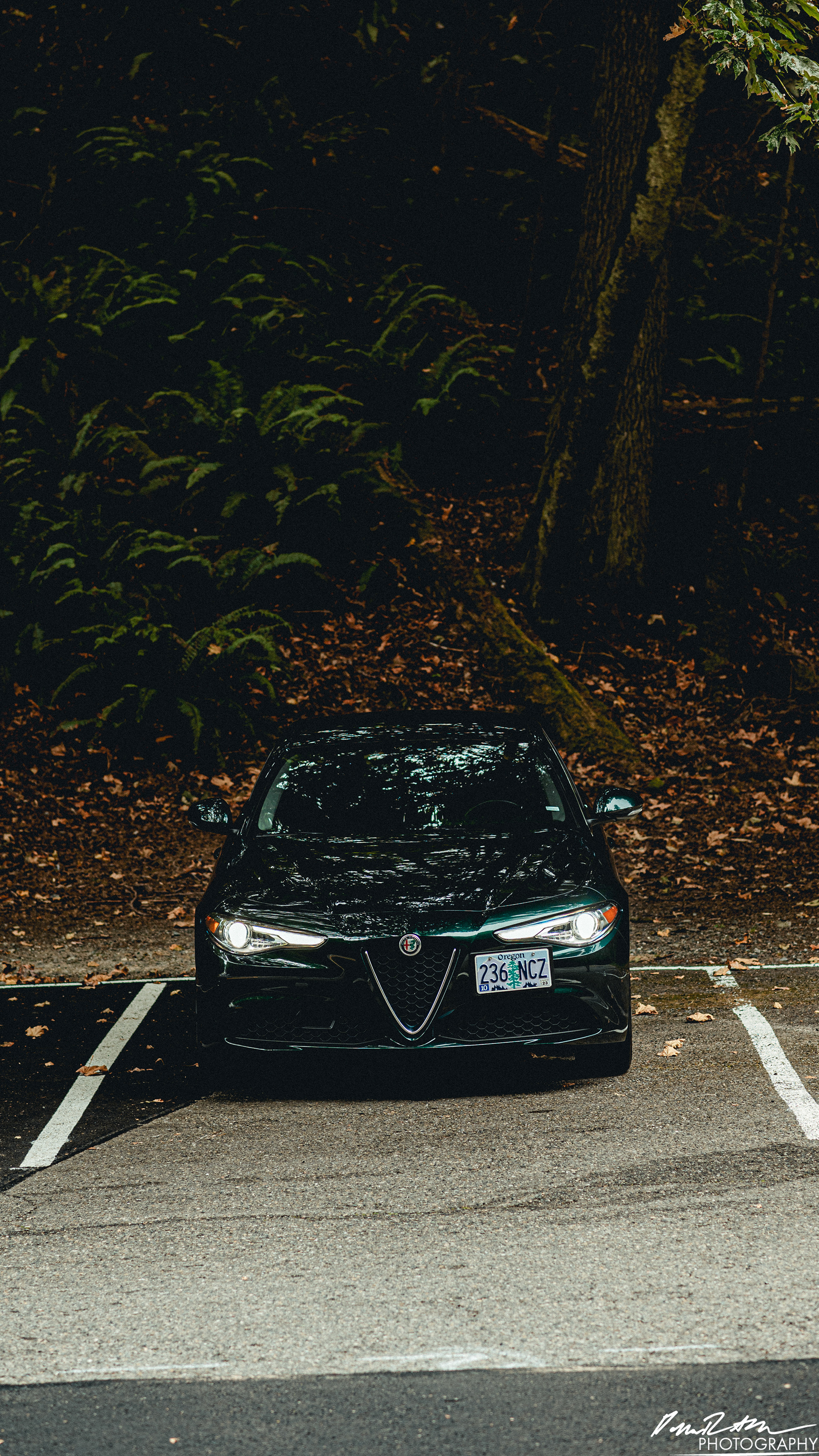 Green Machine - Tacoma WA