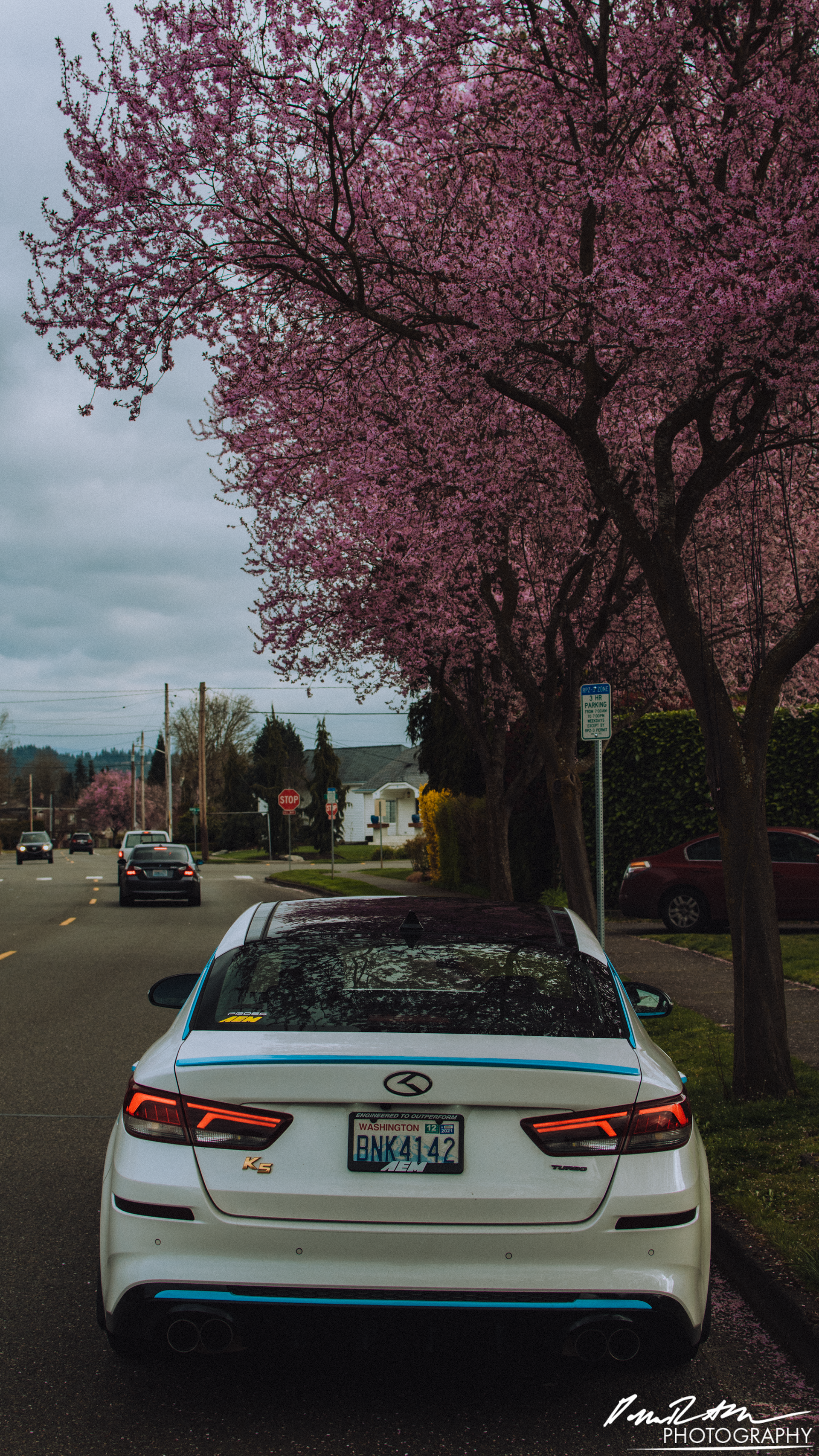 Blossoms, Sumner WA