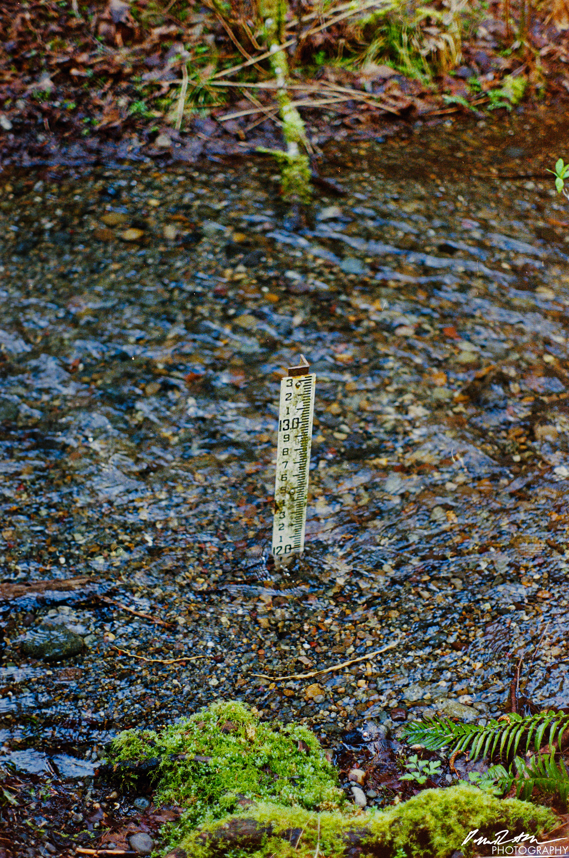 Fujifilm 400 - Dupont WA