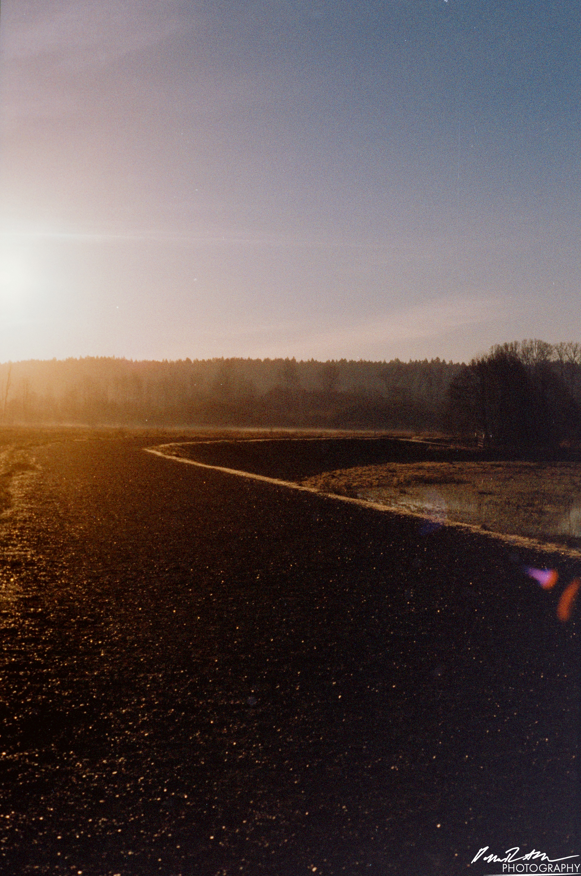 Pheonix 200 - Nisqually Wildlife Preserve WA