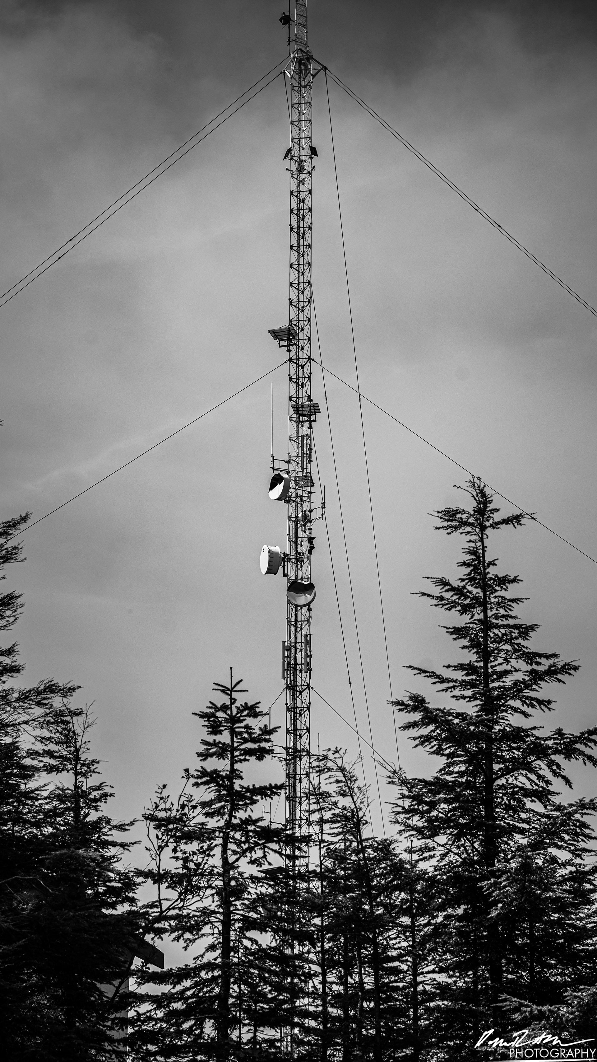 Numbers Station - Olympia WA