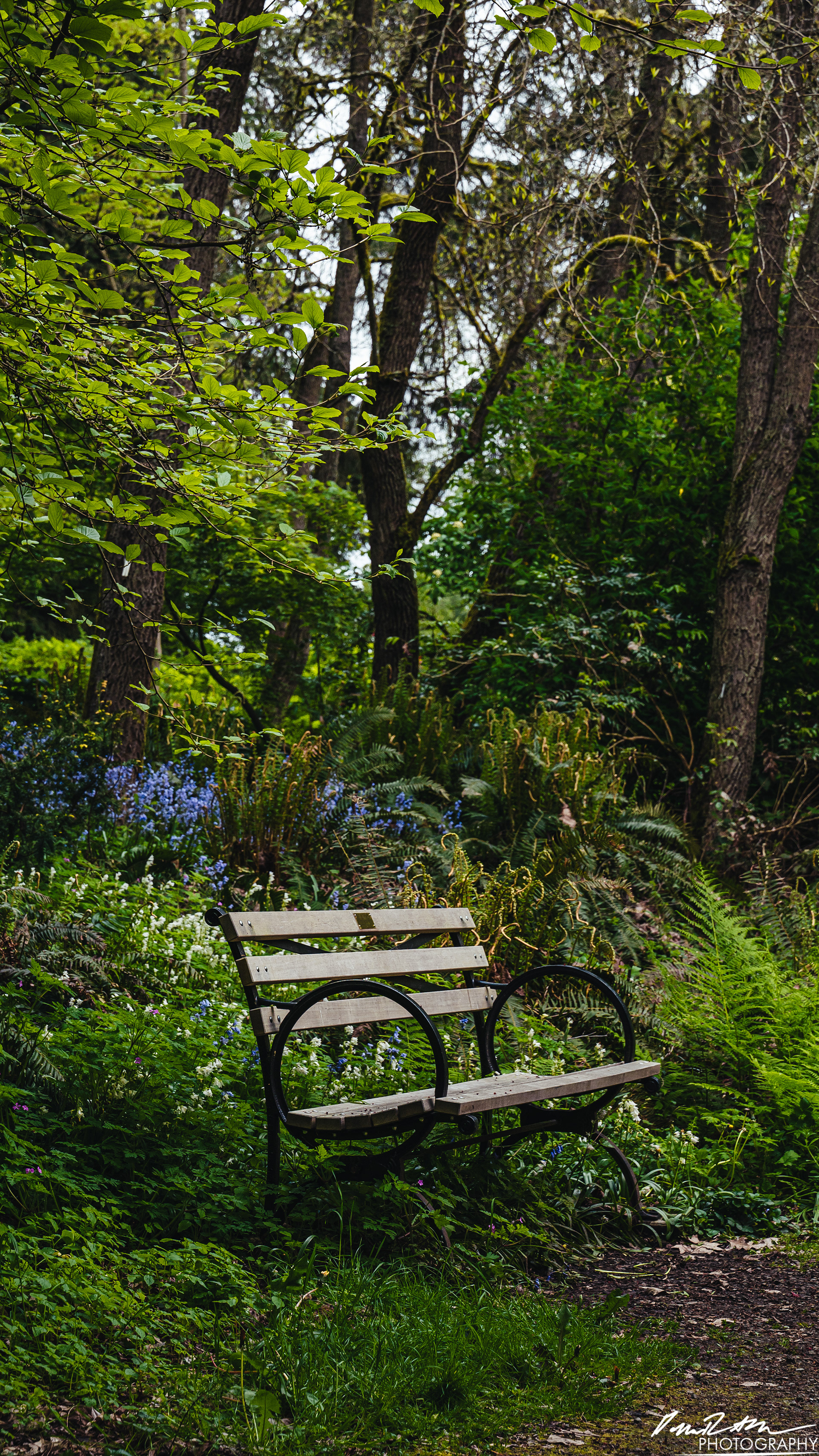 All Alone - Seattle WA