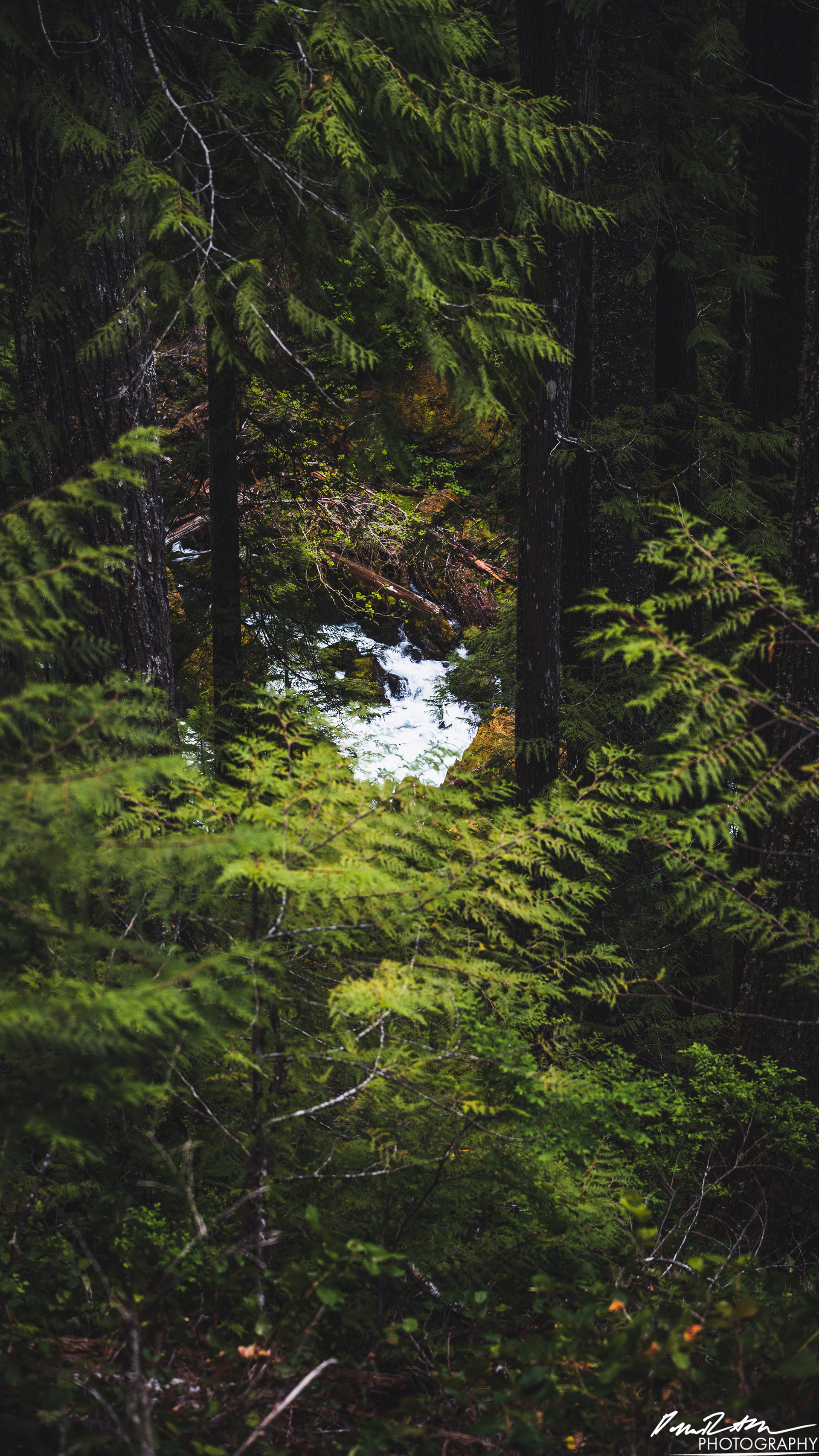 Snow Melt - Lena Lake