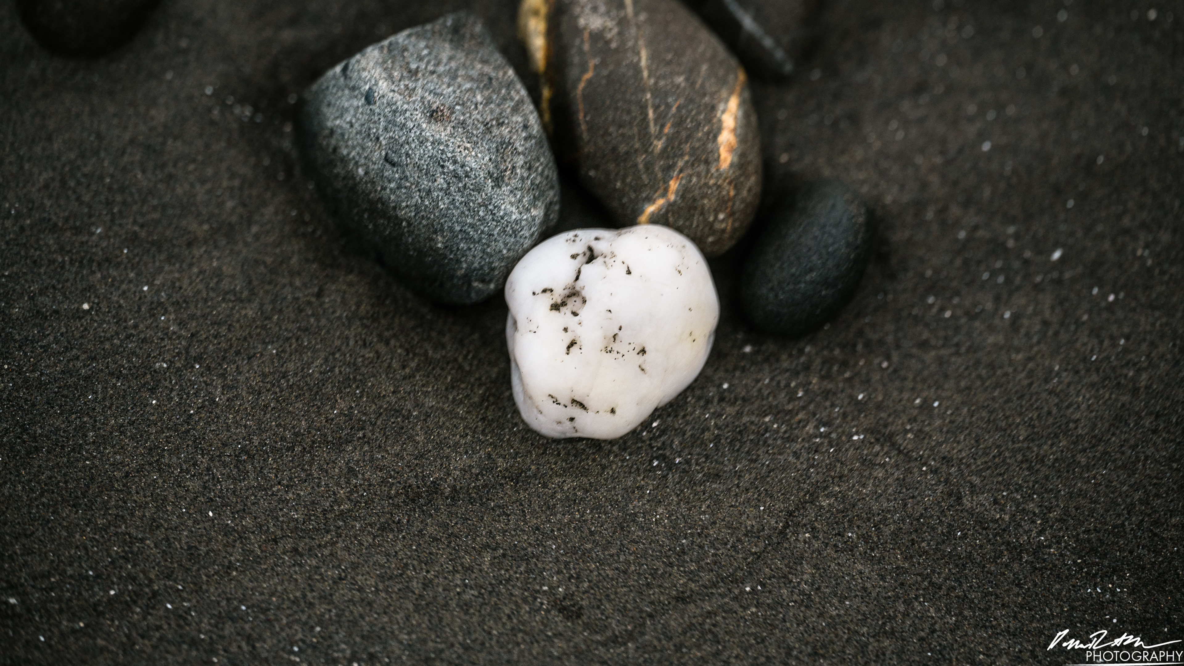 The Beach of Life - Kalaloch 