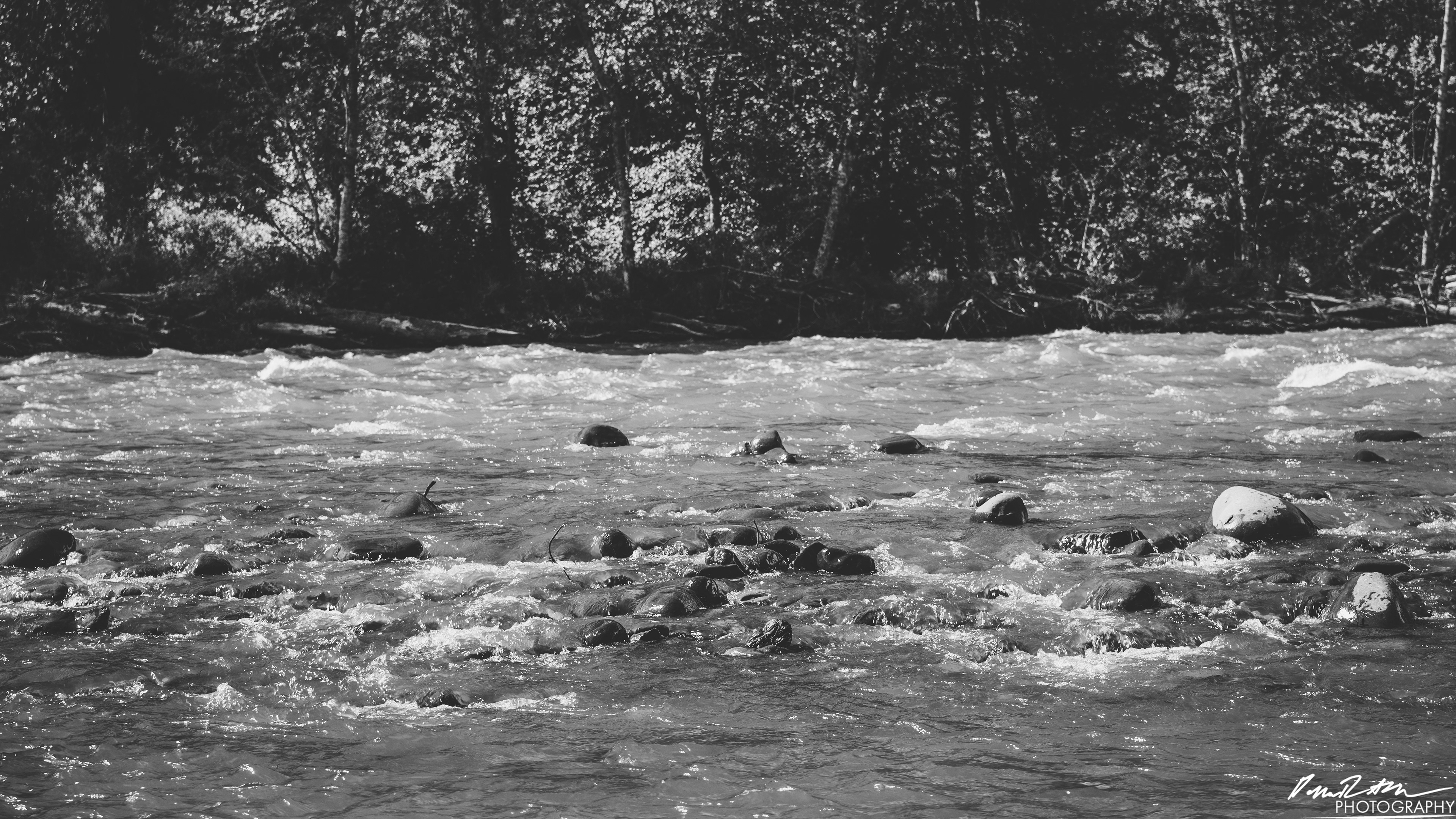Hot Springs - Olympic National Park