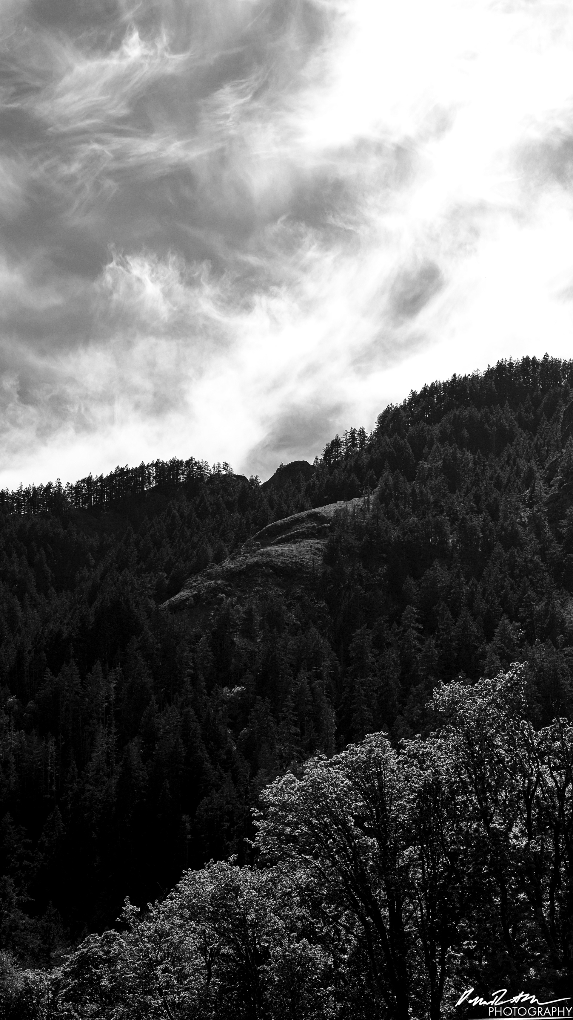 Hot Springs - Olympic National Park