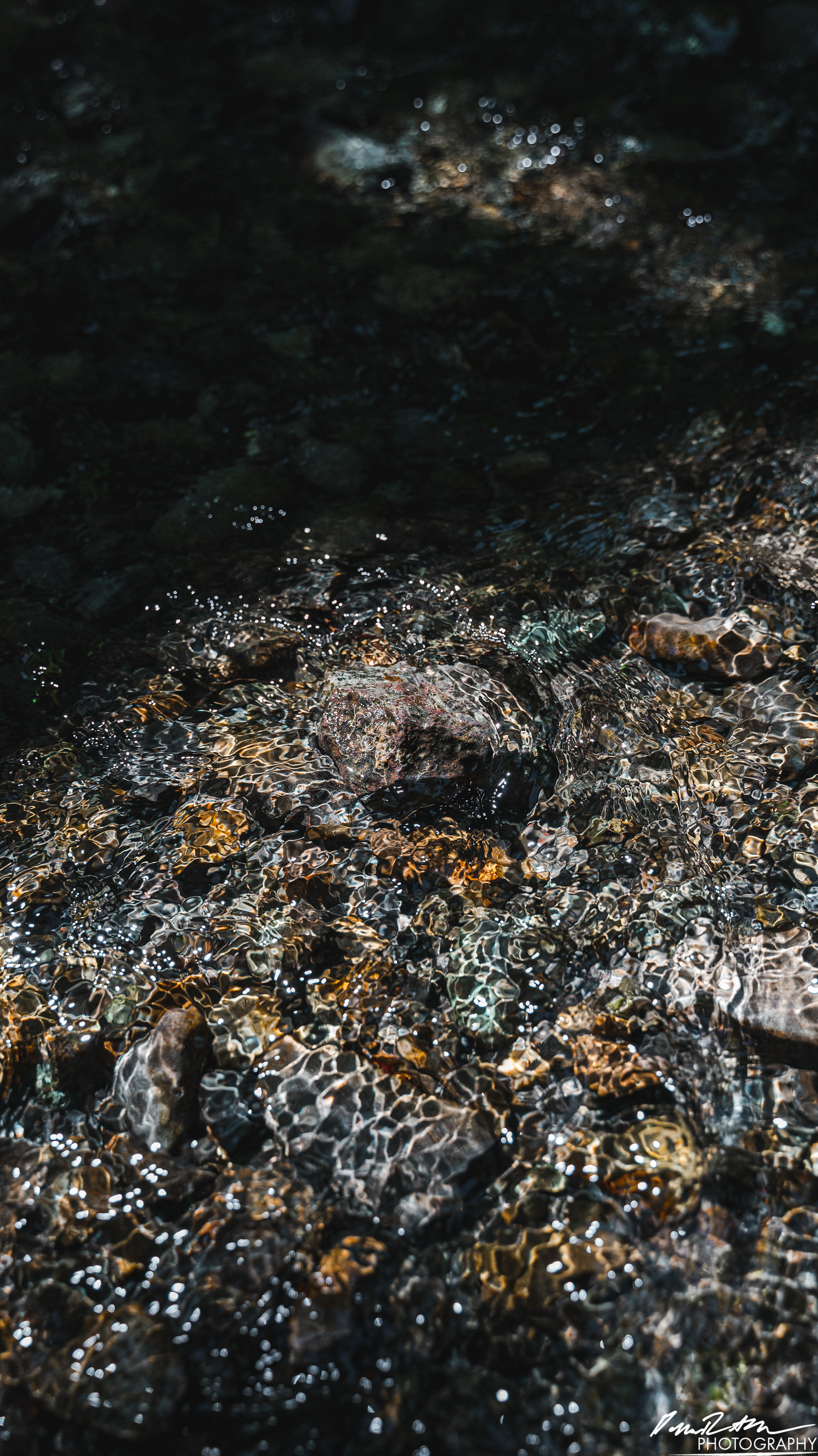 Rapids - Lake Cushman