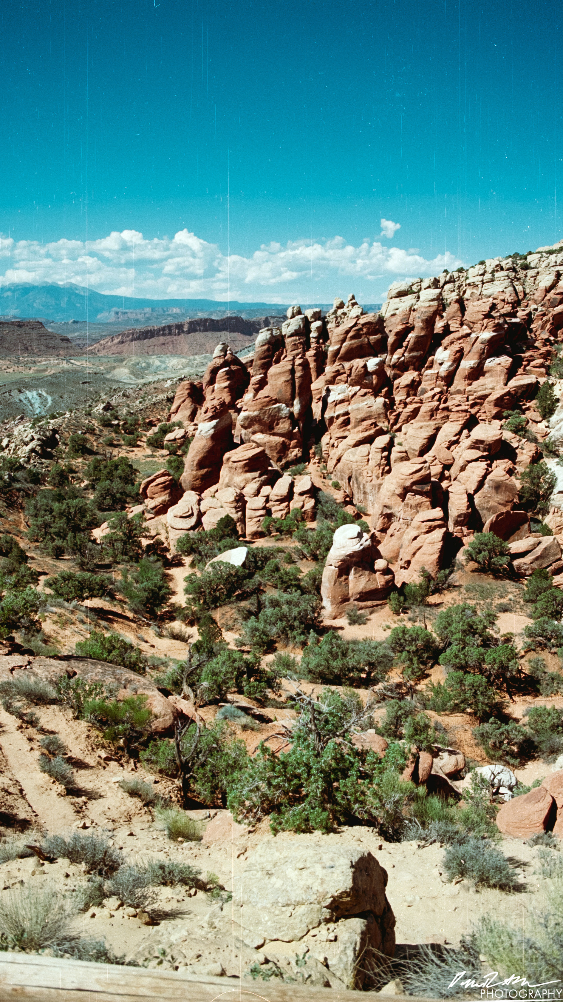 Arches on 35mm - Arches National Park