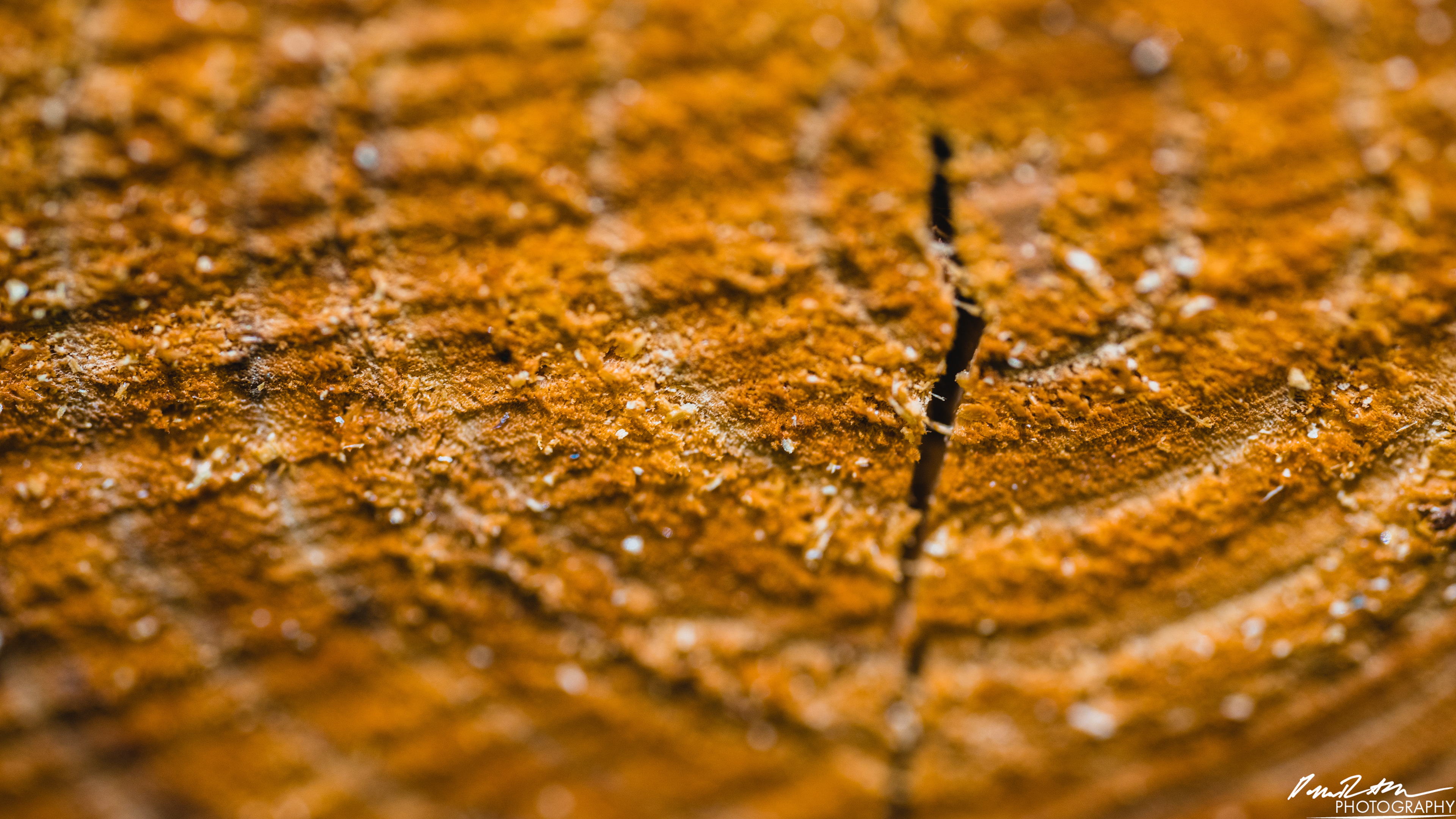 Rapids - Lake Cushman