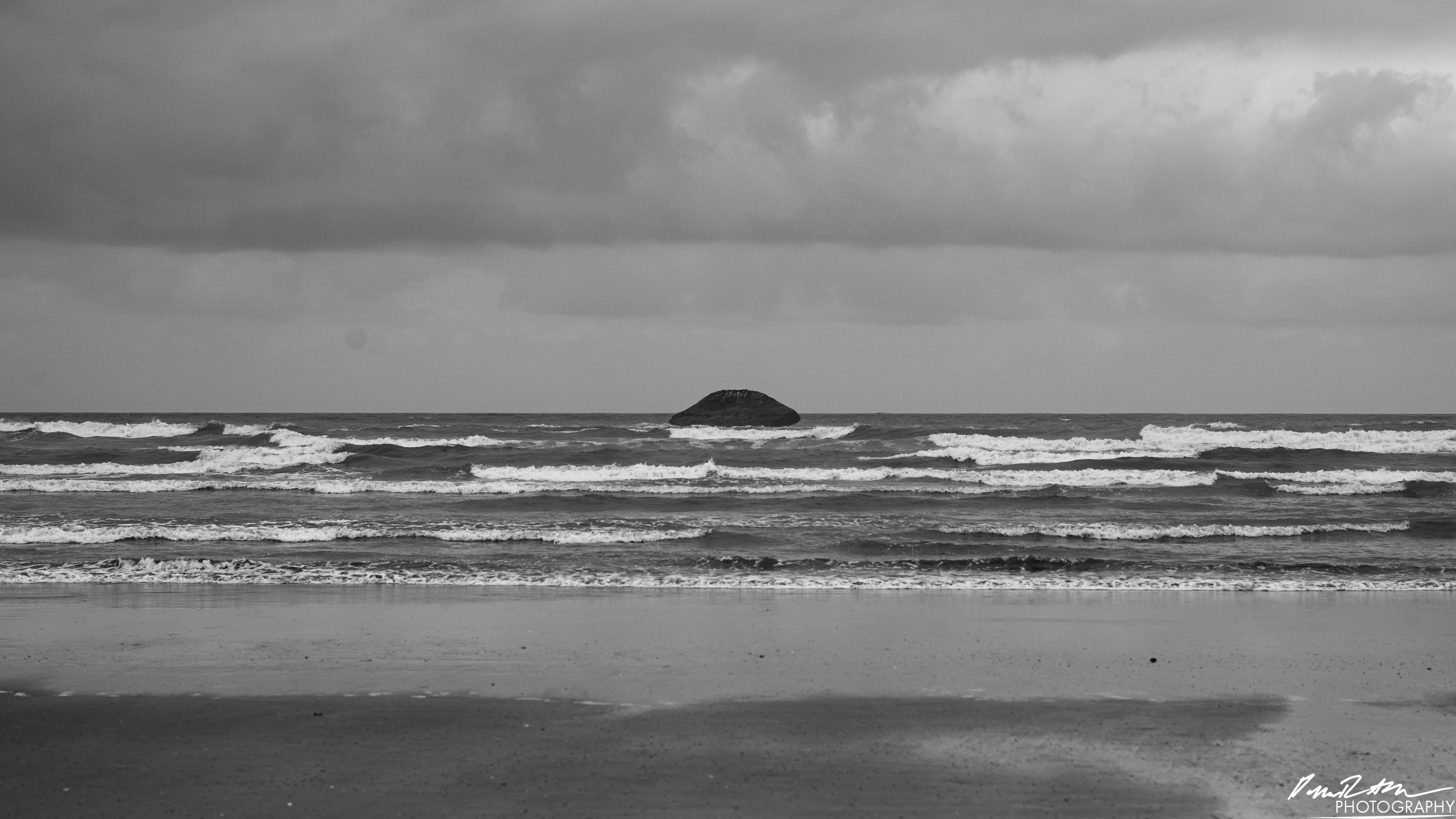 The Beach of Life - Kalaloch 