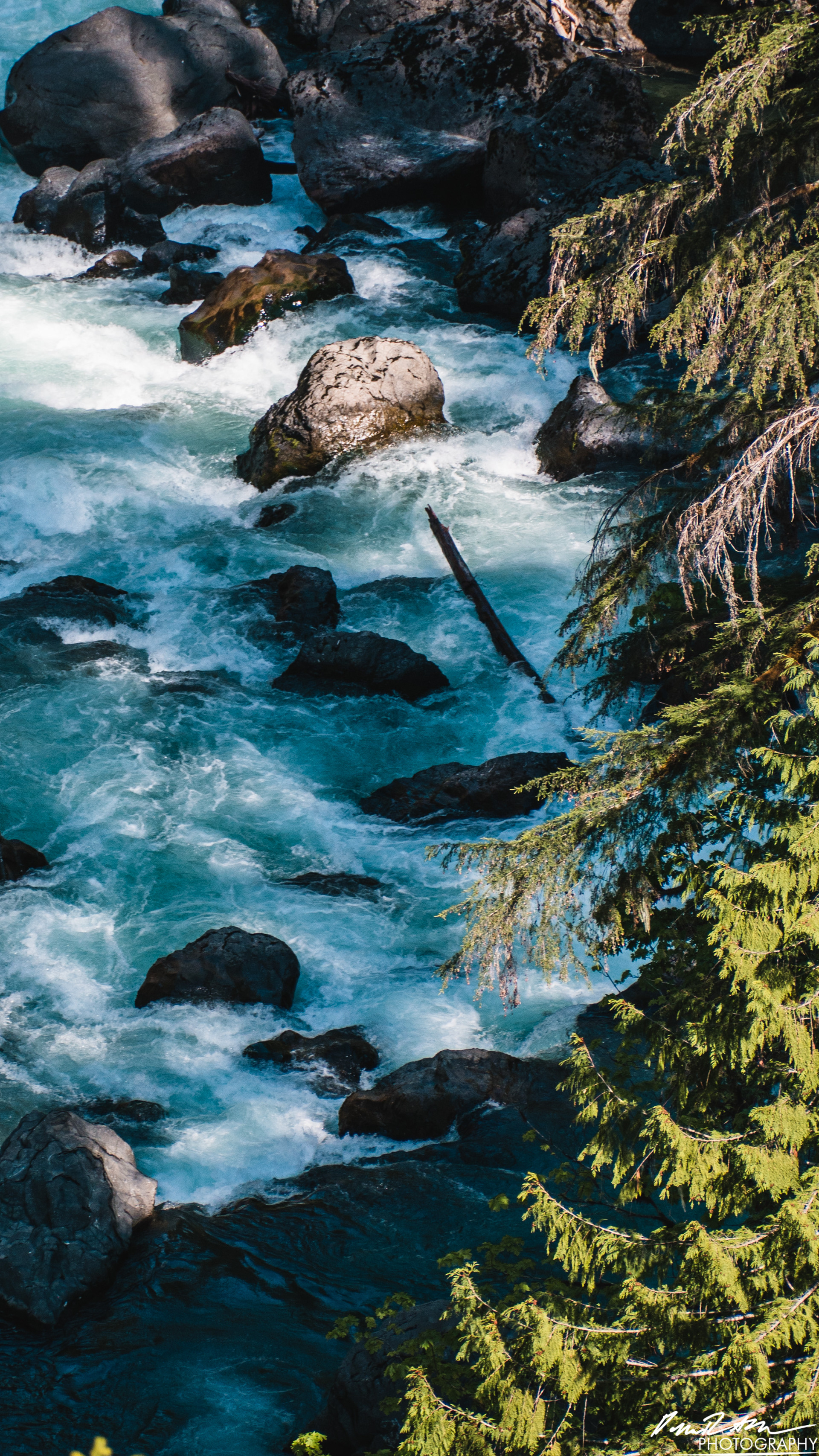 CAUTION - Olympic National Forest