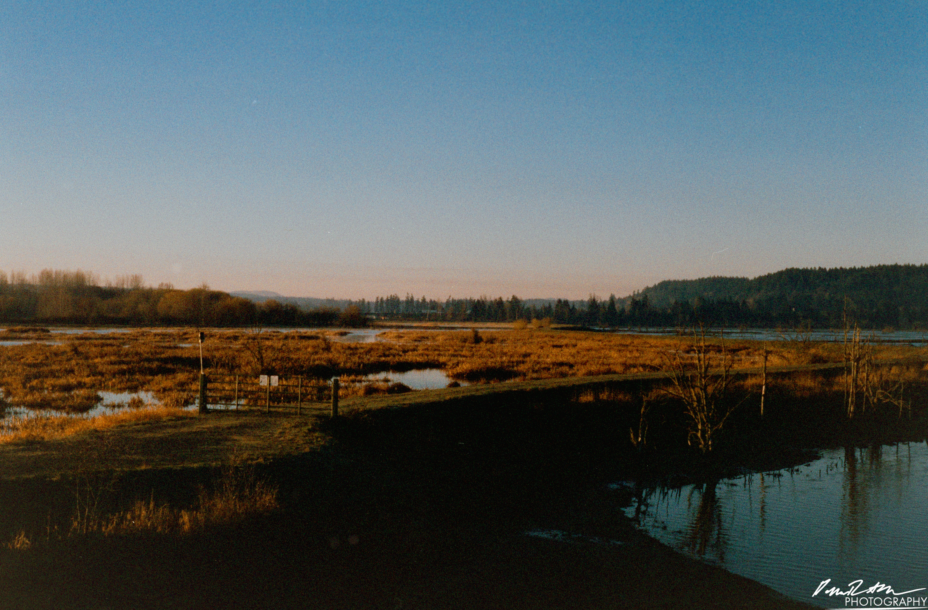 Pheonix 200 - Nisqually Wildlife Preserve WA
