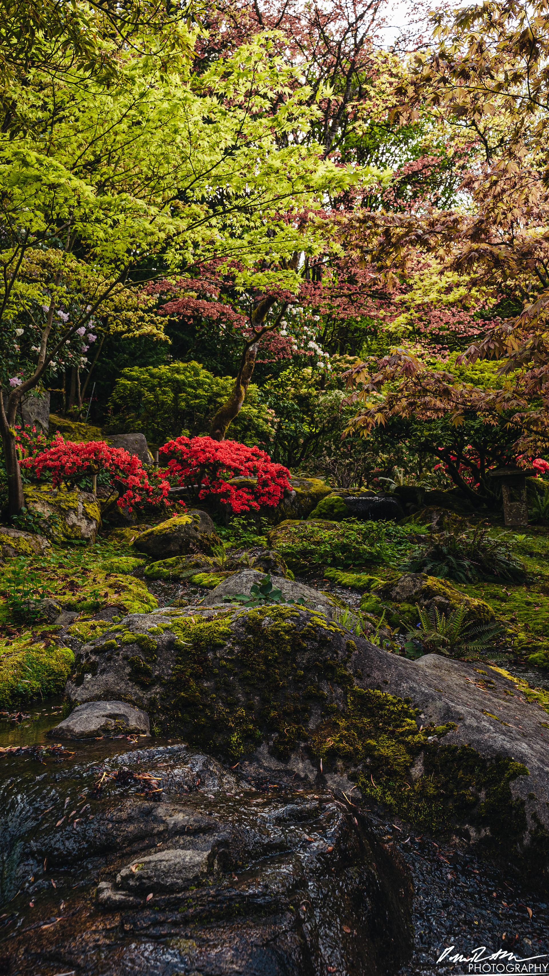 日本庭園-ワシントン州シアトル