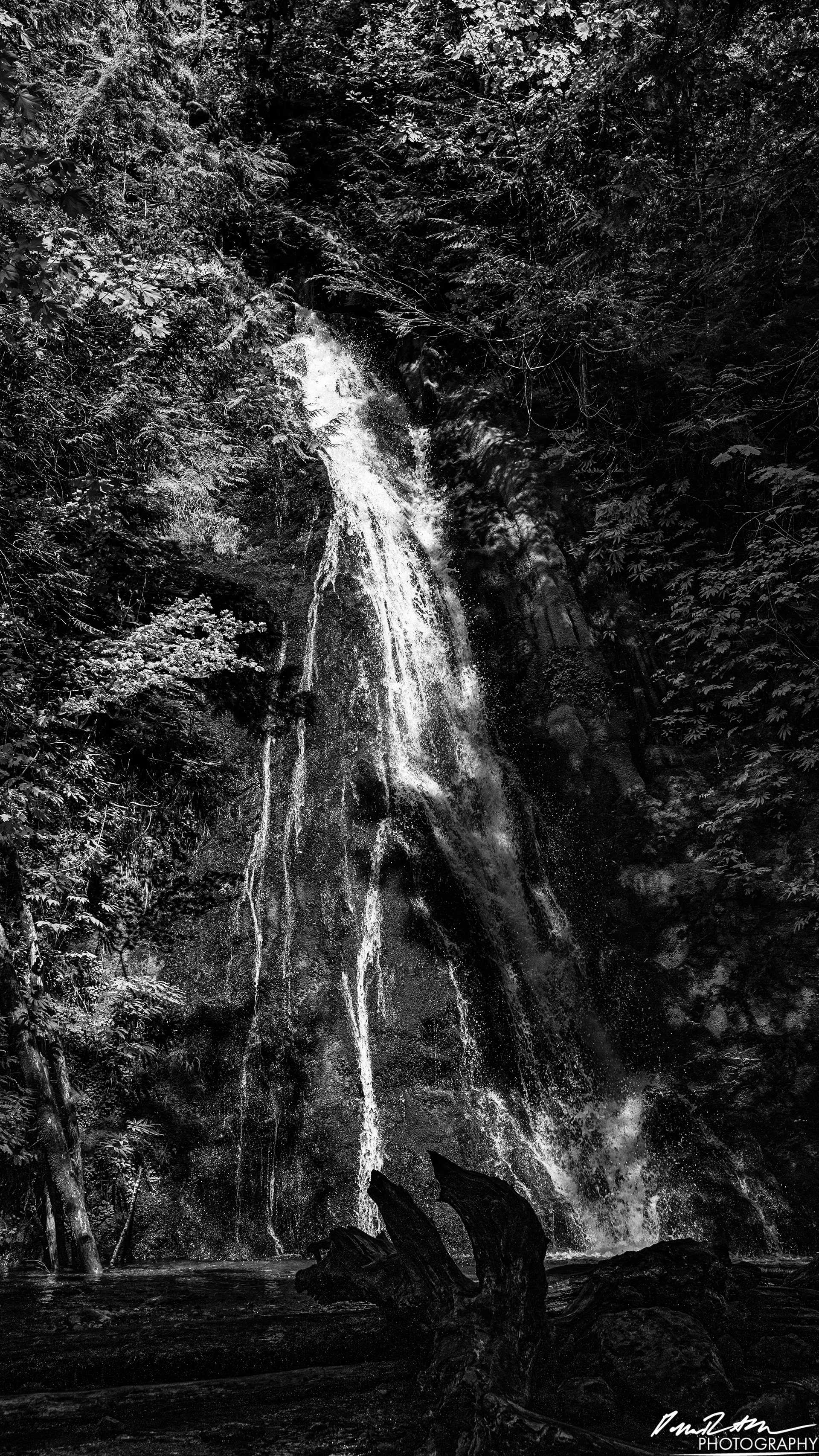 Hot Springs - Olympic National Park