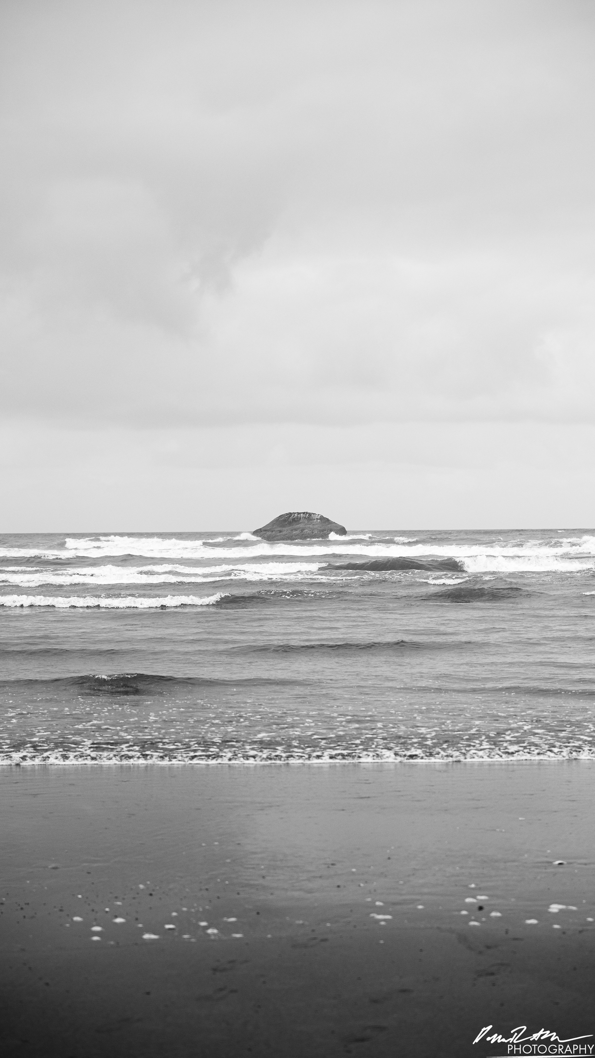 The Beach of Life - Kalaloch 