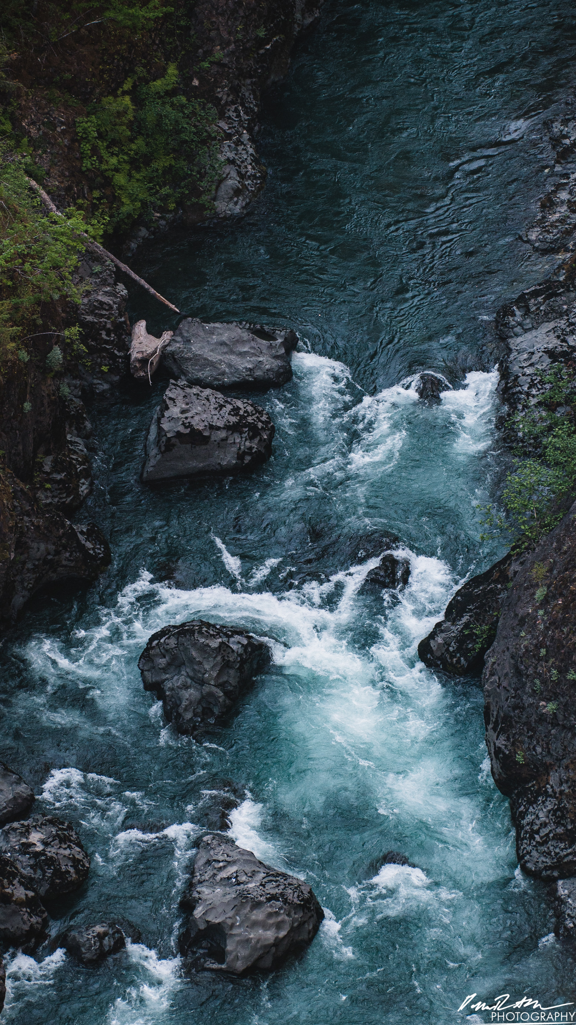 CAUTION - Olympic National Forest