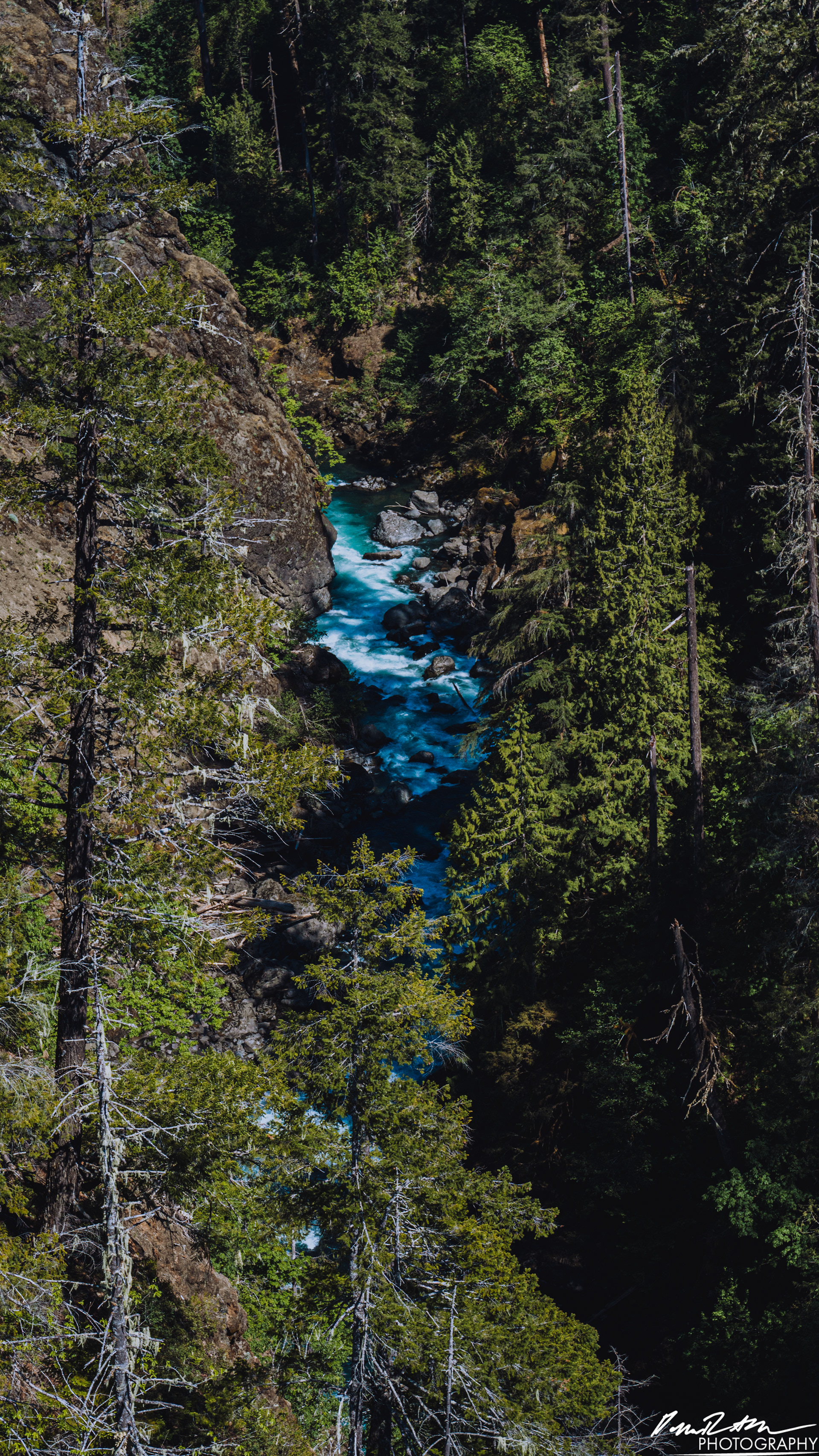 CAUTION - Olympic National Forest