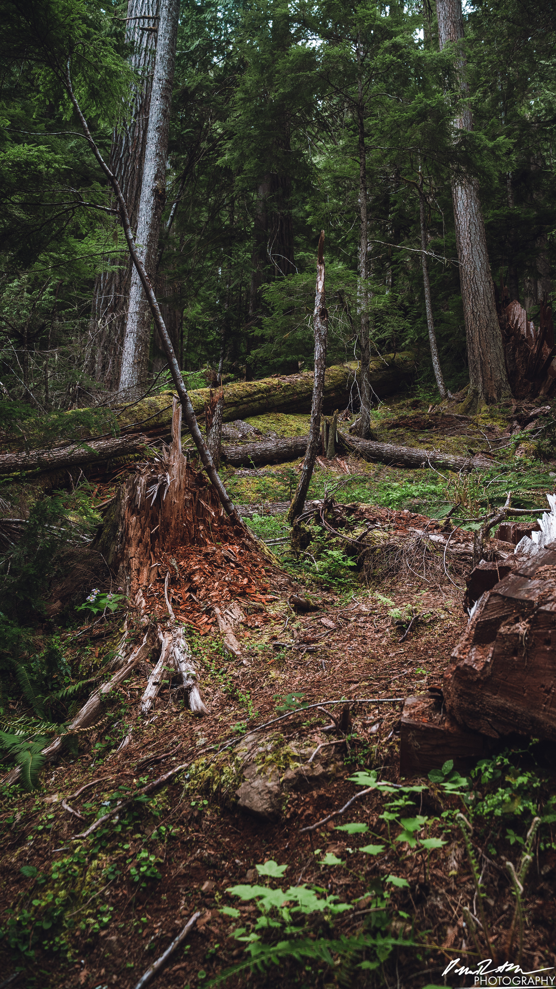Snow Melt - Lena Lake