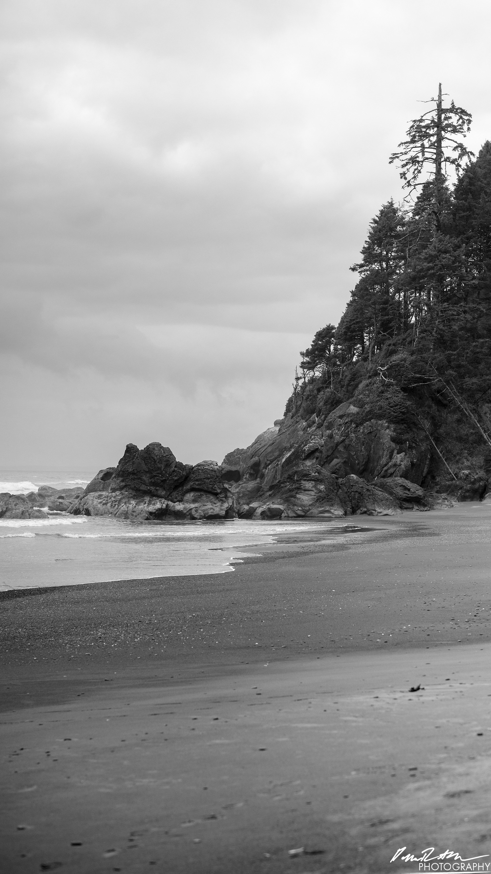 The Beach of Life - Kalaloch 