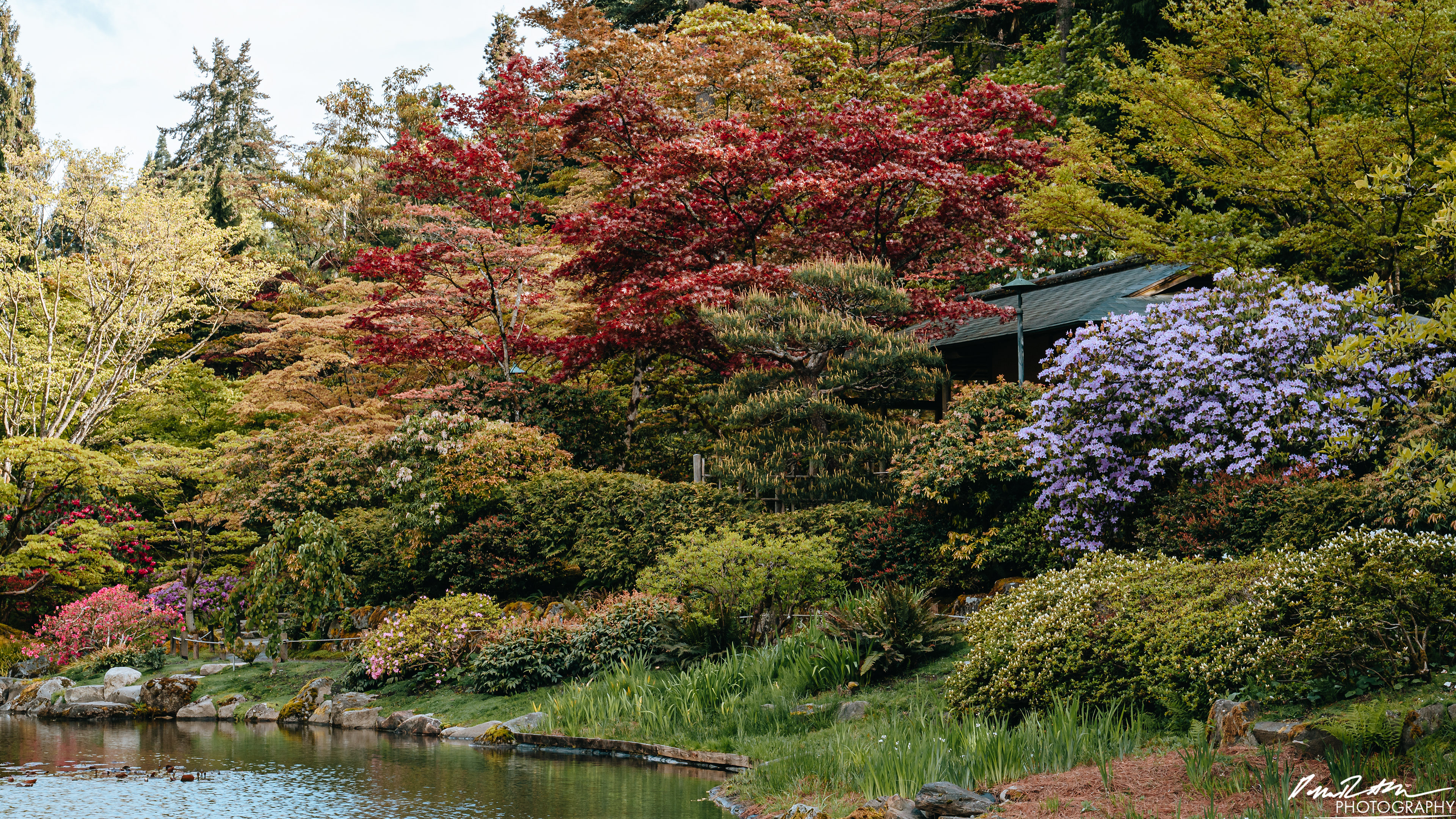 日本庭園-ワシントン州シアトル