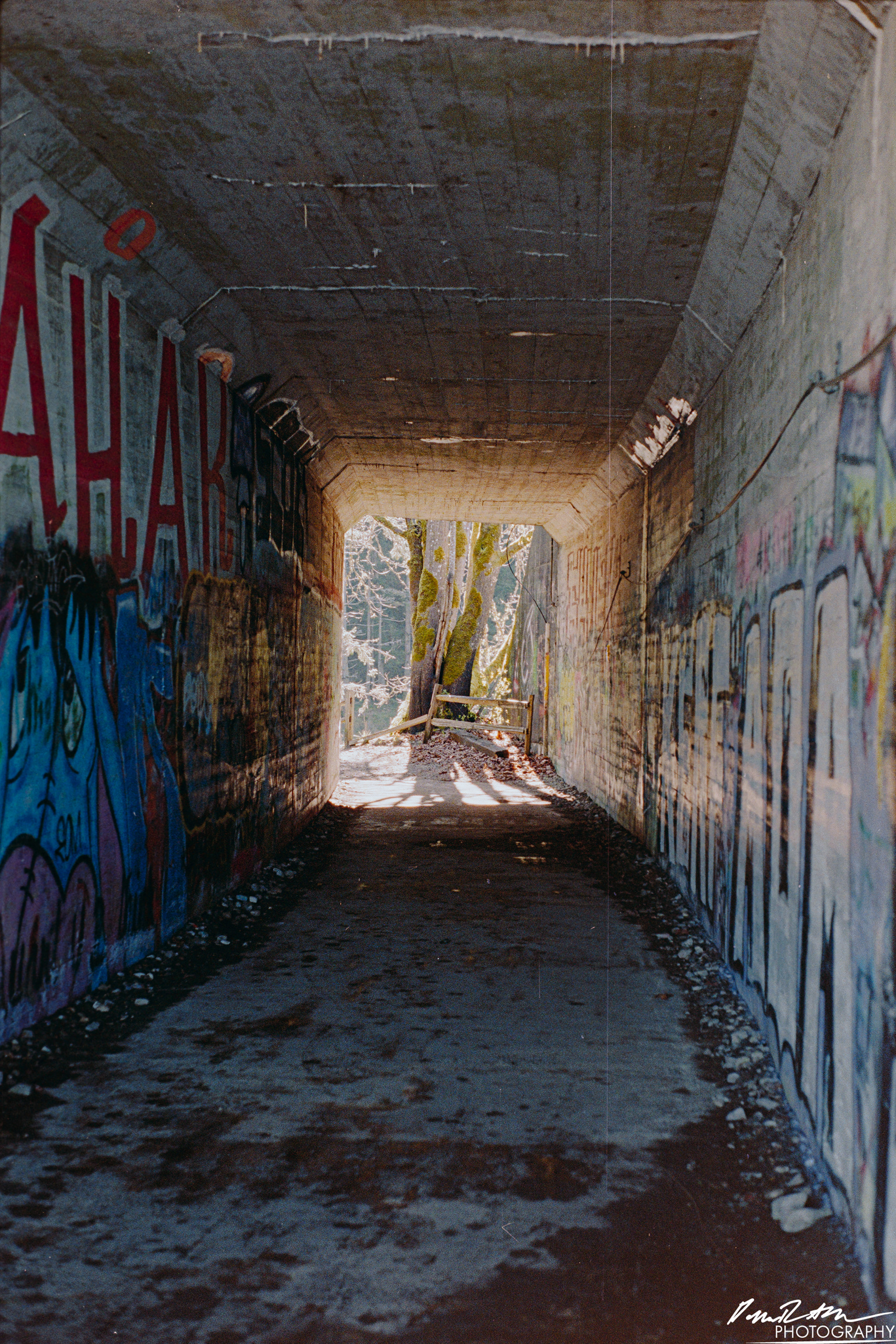 Fujifilm 400 - Dupont WA