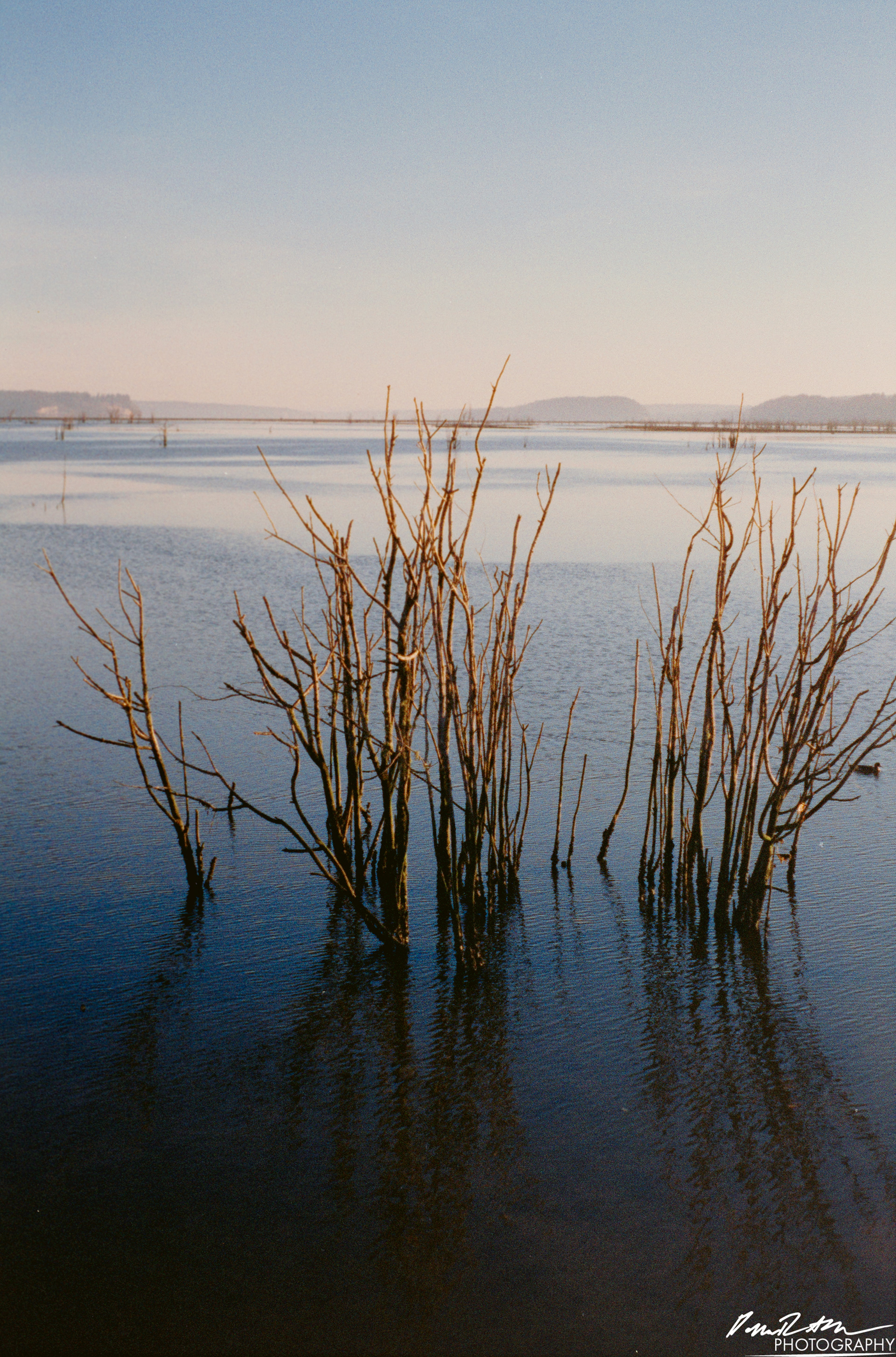 Pheonix 200 - Nisqually Wildlife Preserve WA