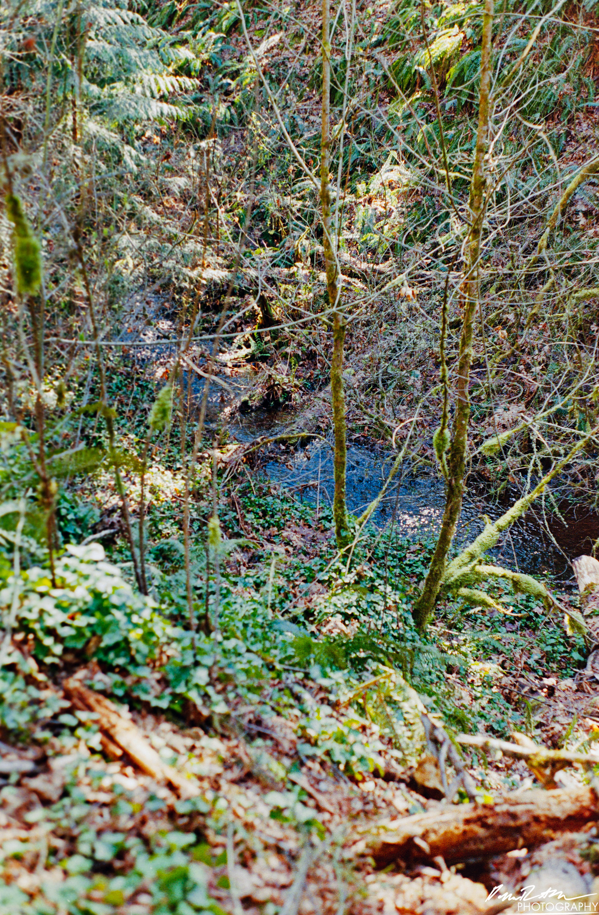 Fujifilm 400 - Dupont WA