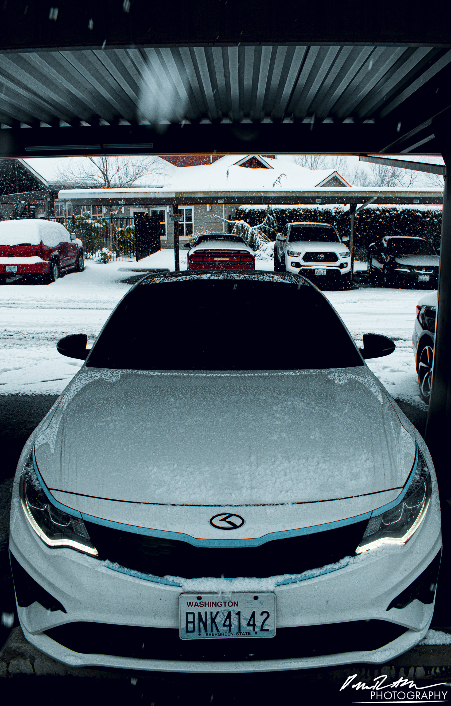 Snow White Pearl, Puyallup WA