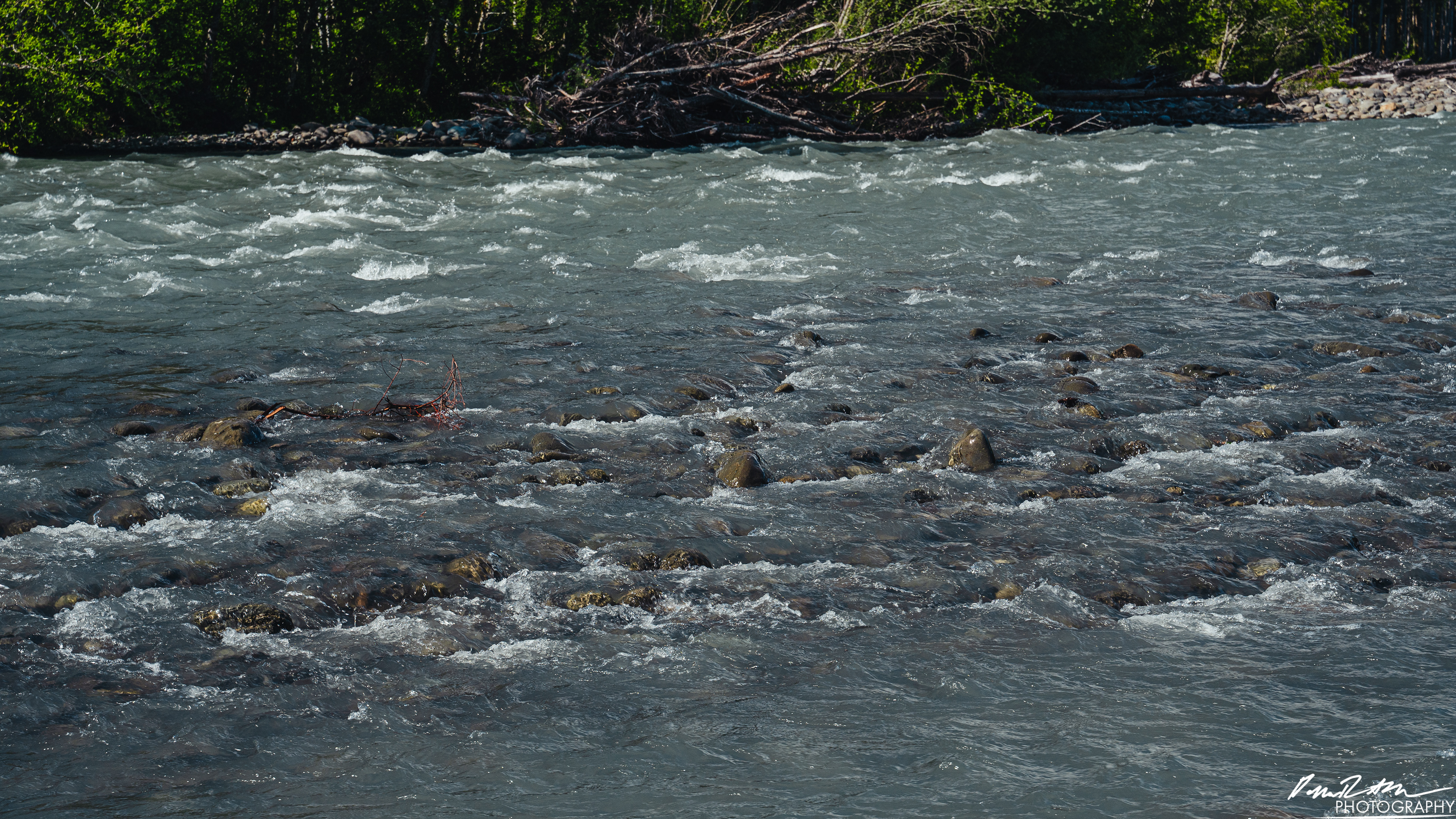Hot Springs - Olympic National Park