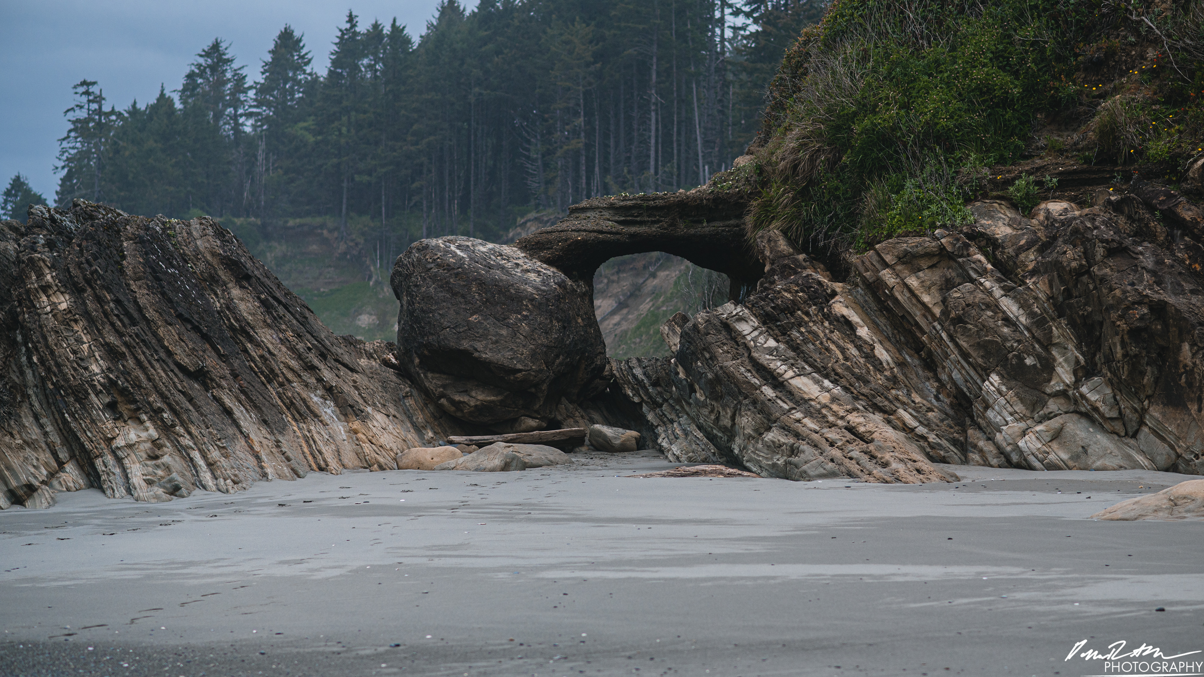 The Beach of Life - Kalaloch 