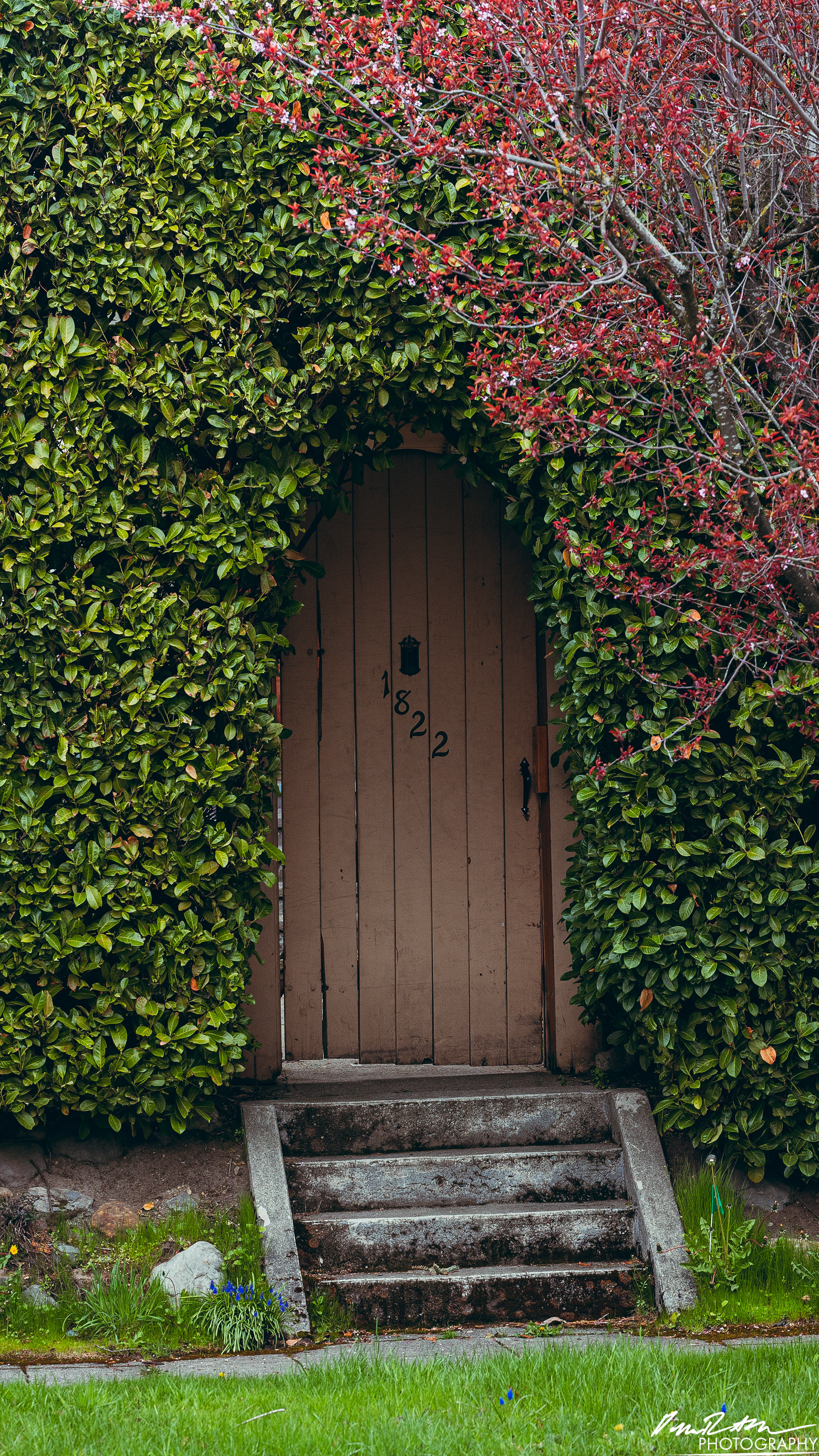 Up Close - Enumclaw WA