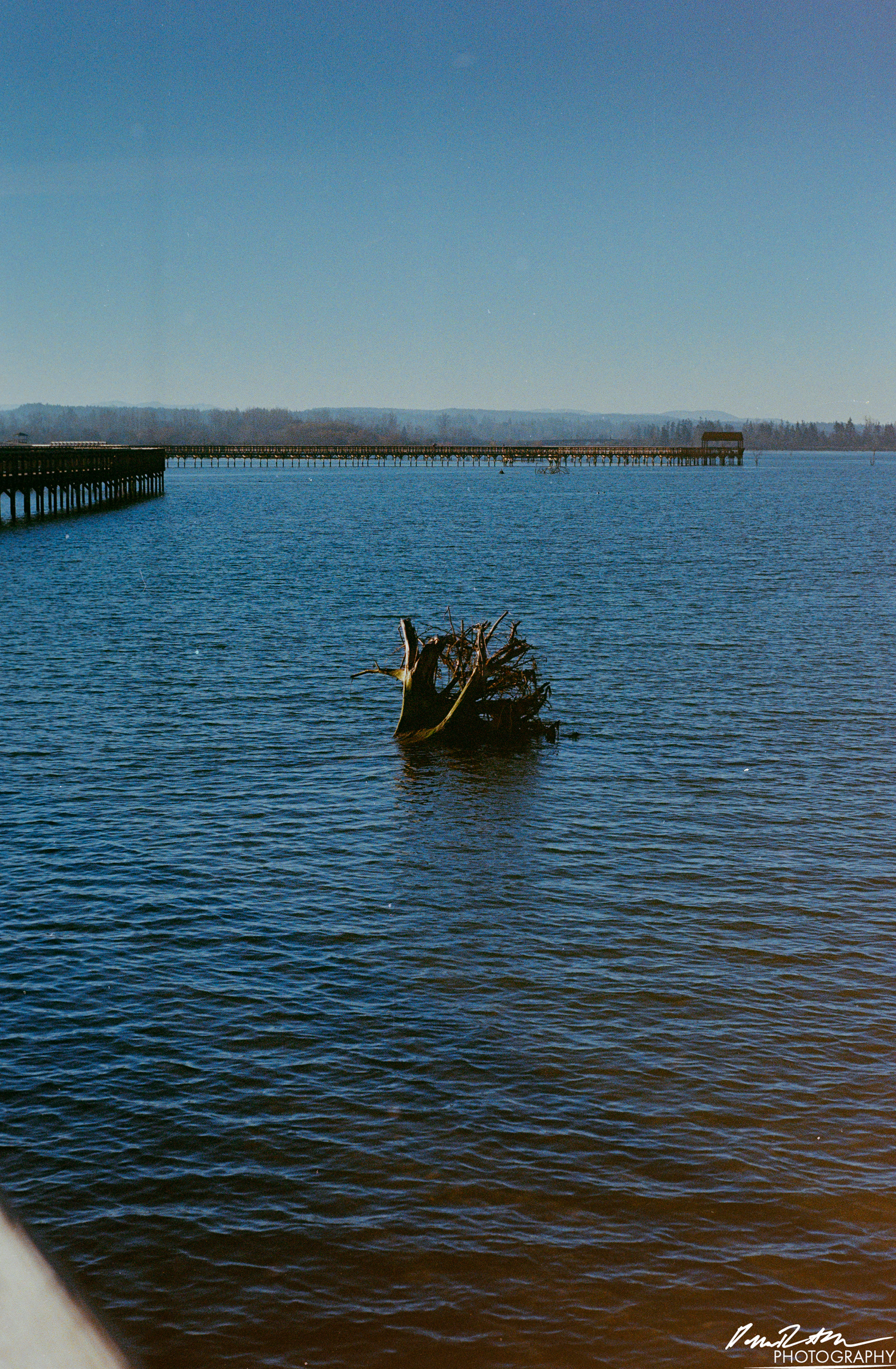 Fujifilm 400 - Nisqually Wildlife Preserve WA